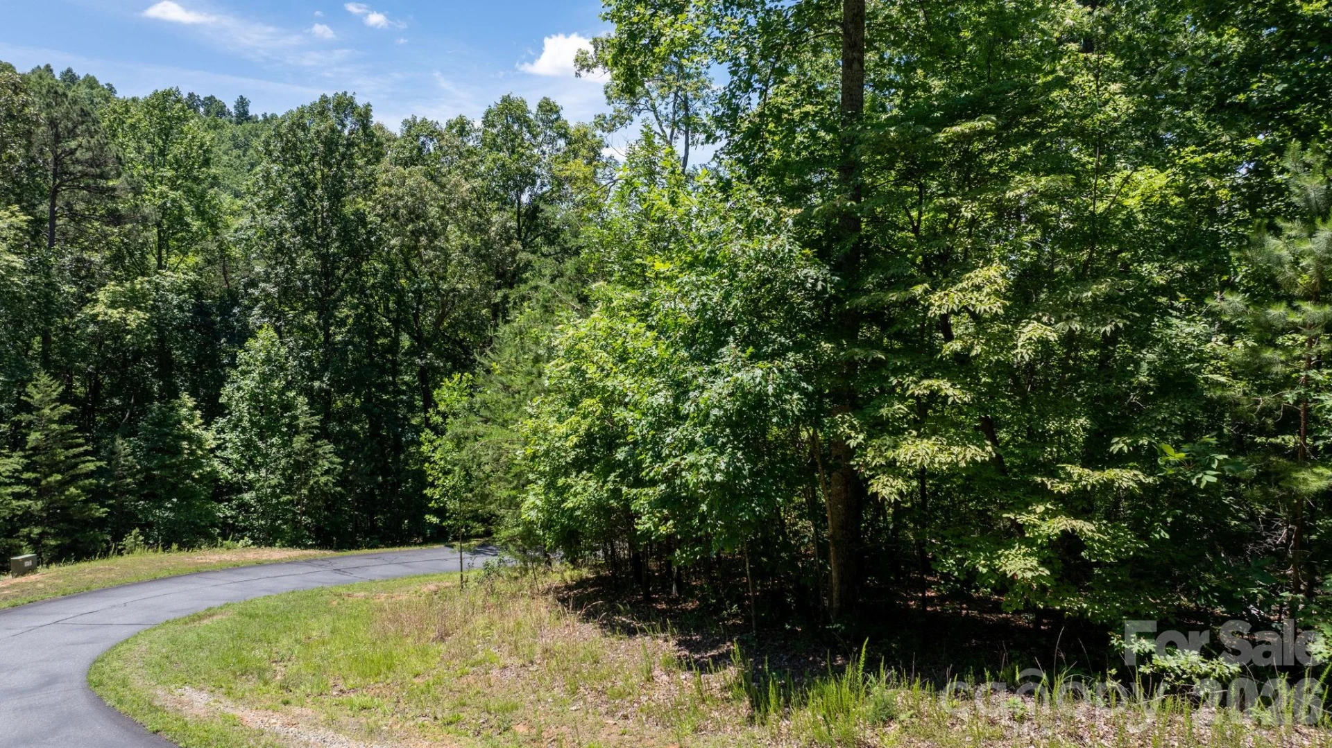 108 Mountain Brook Trail - Photo 18