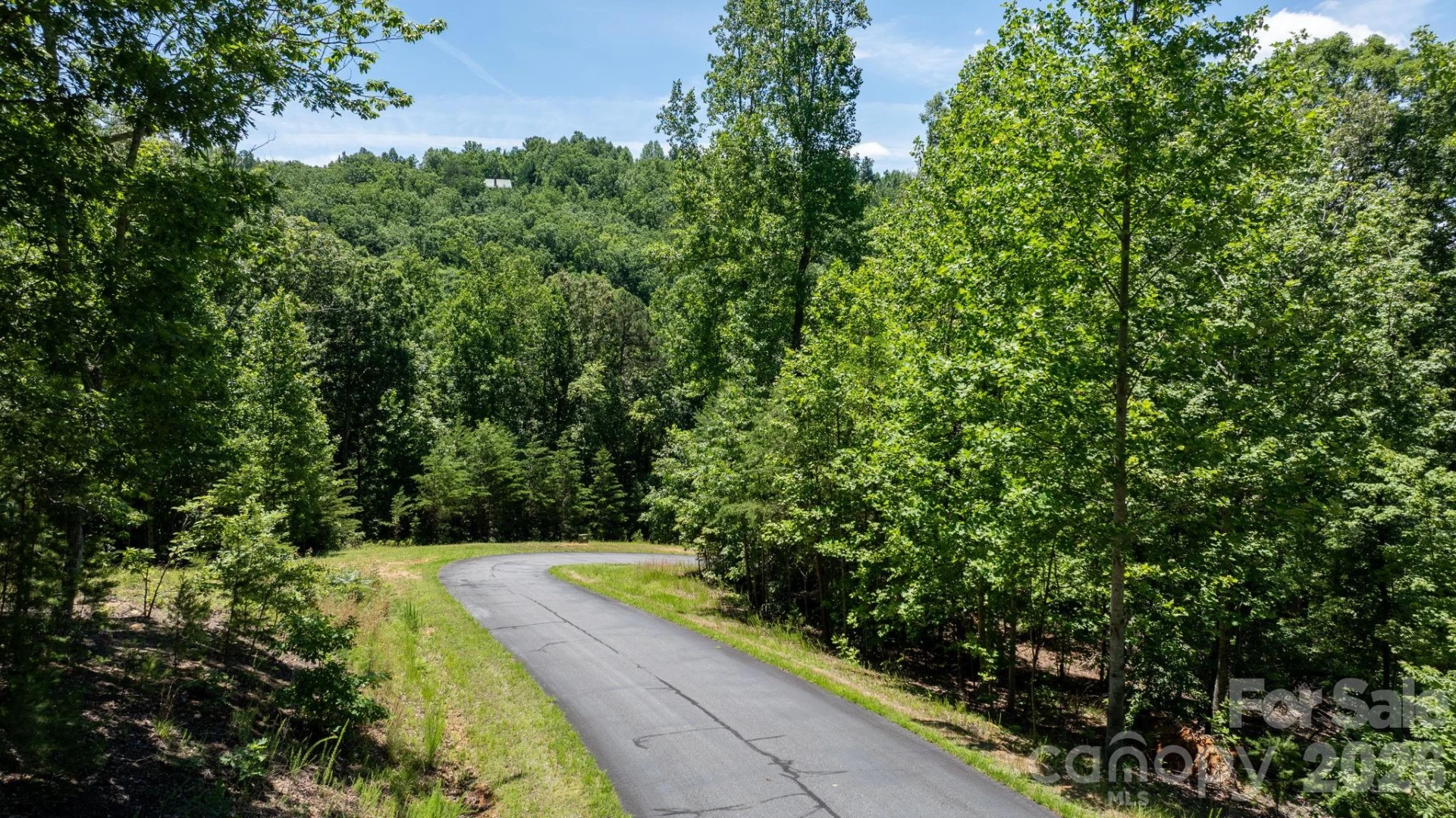 108 Mountain Brook Trail - Photo 19