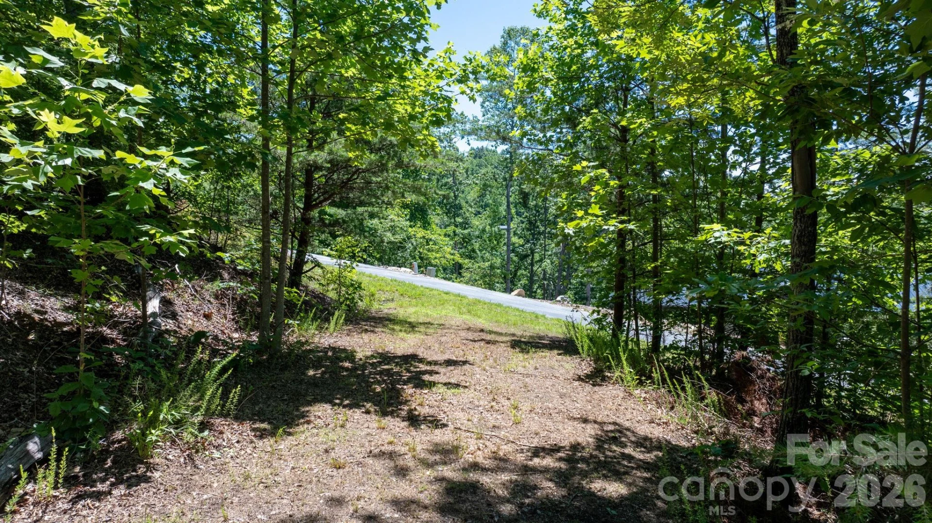 108 Mountain Brook Trail - Photo 4
