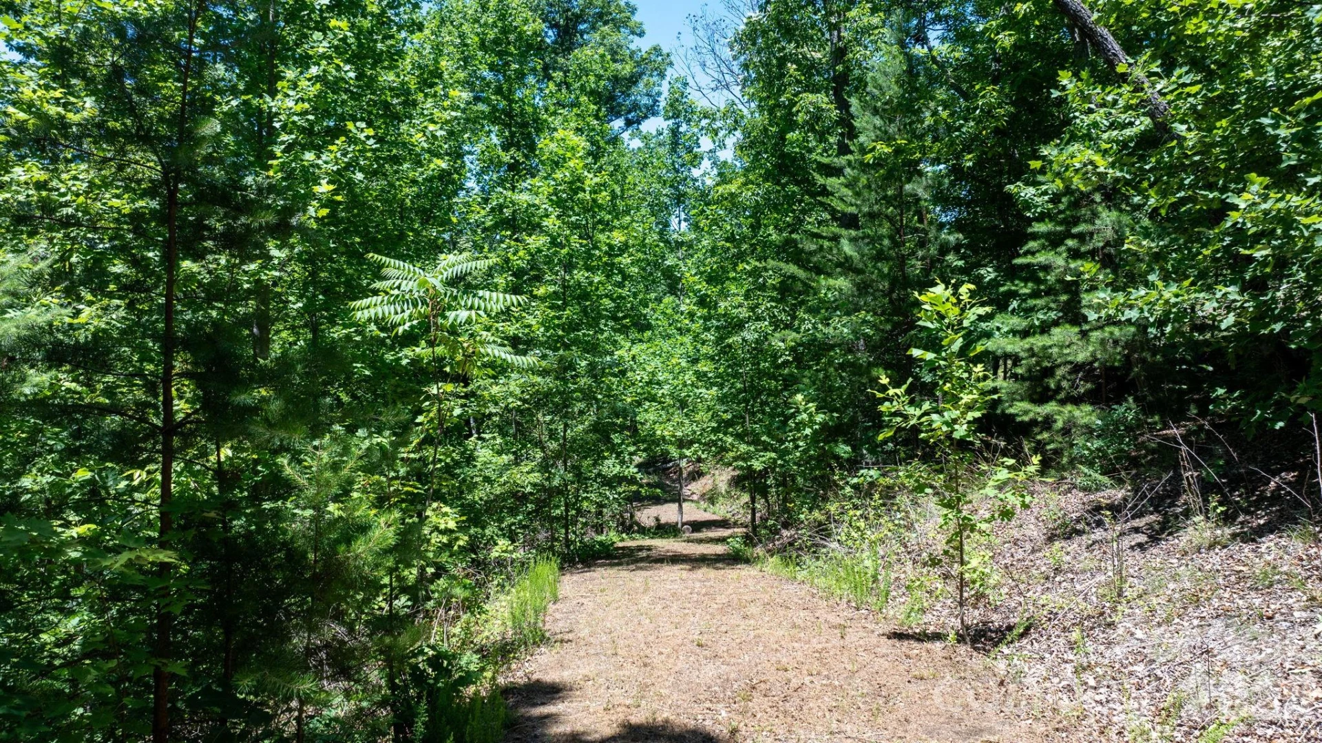 108 Mountain Brook Trail - Photo 5