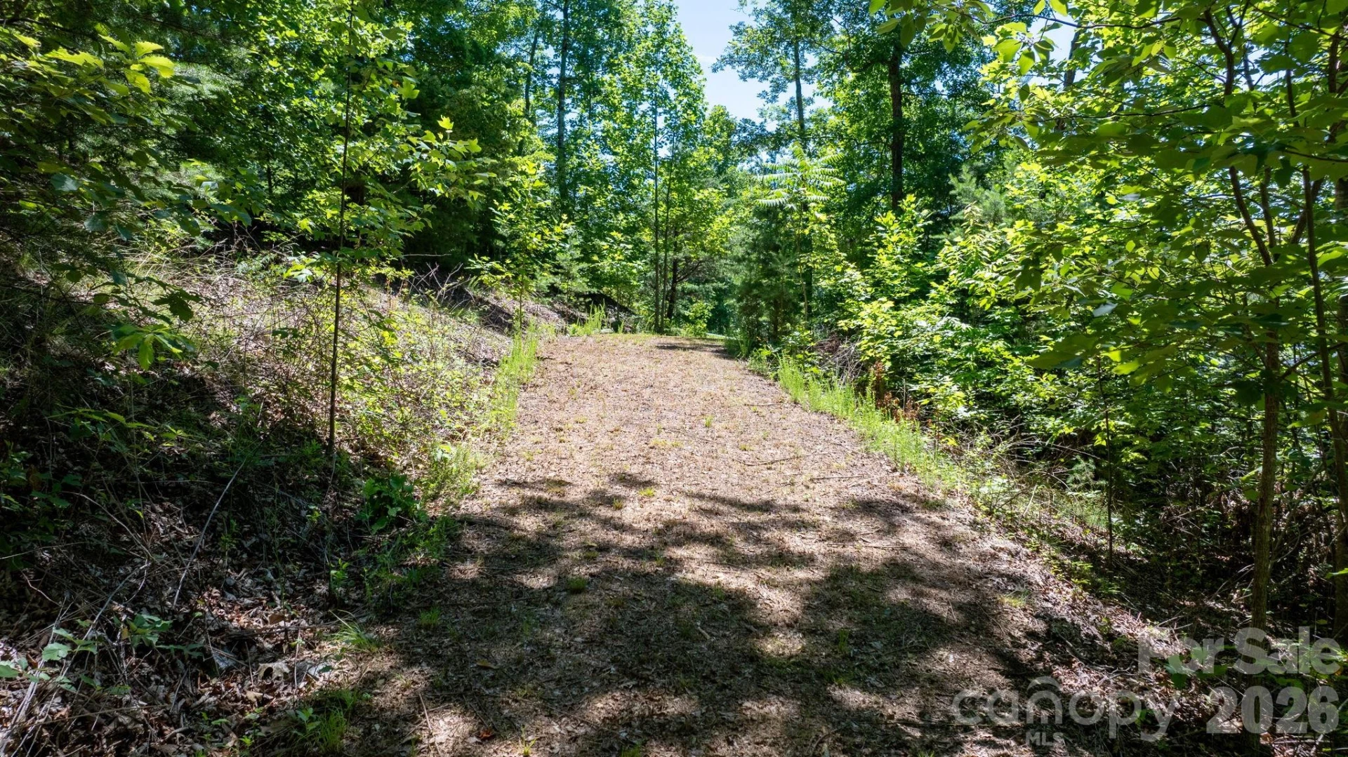 108 Mountain Brook Trail - Photo 6