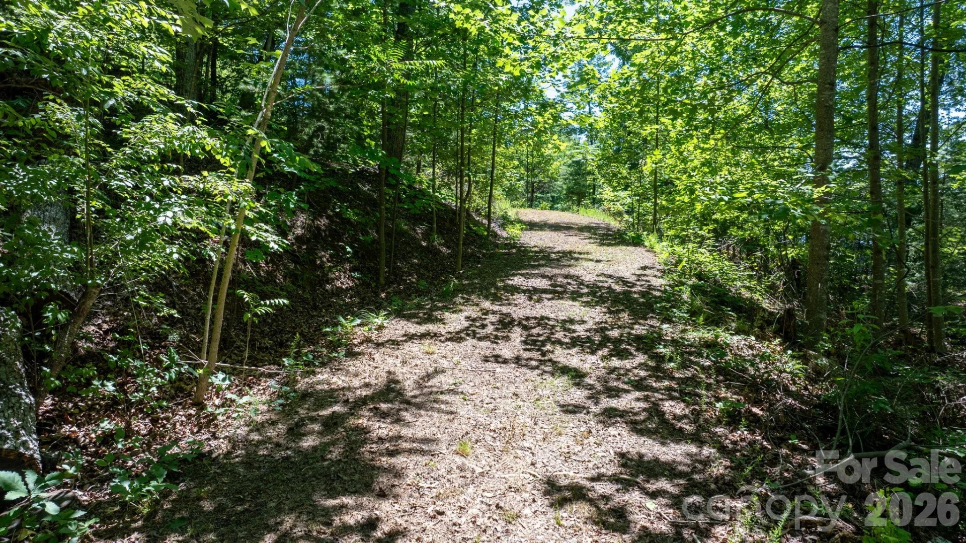 108 Mountain Brook Trail - Photo 7