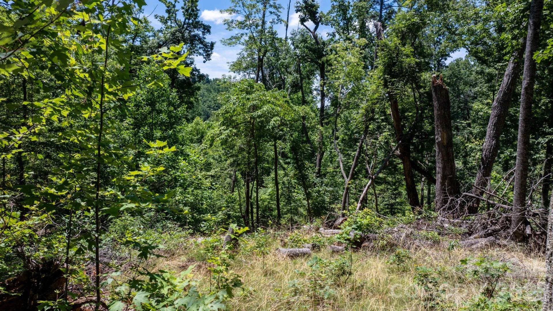 108 Mountain Brook Trail - Photo 8