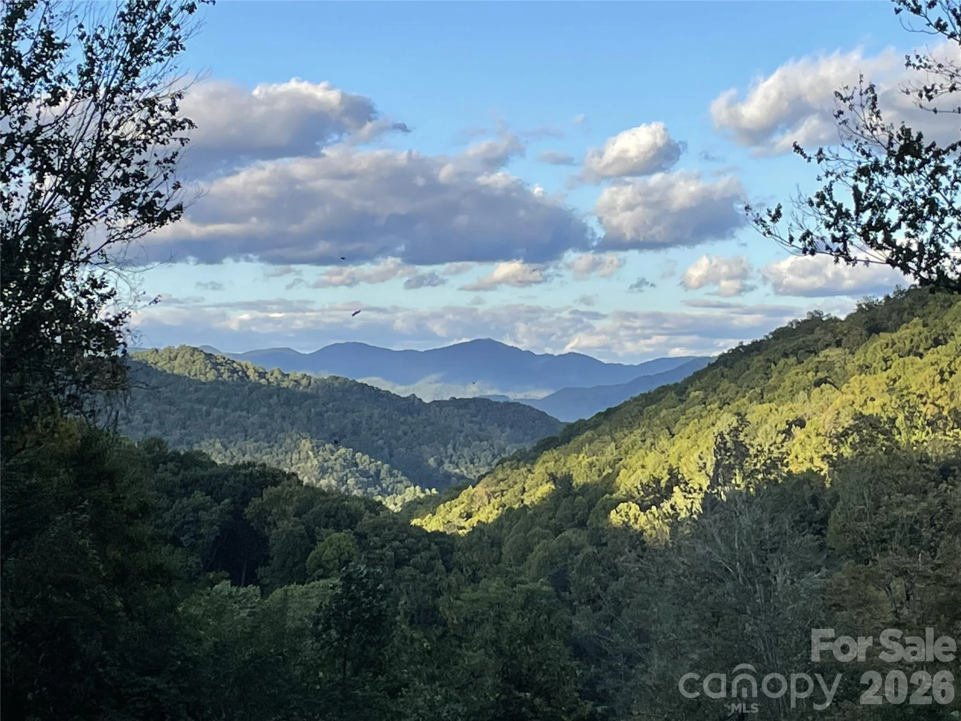 570 Rugged Top Road - Photo 35