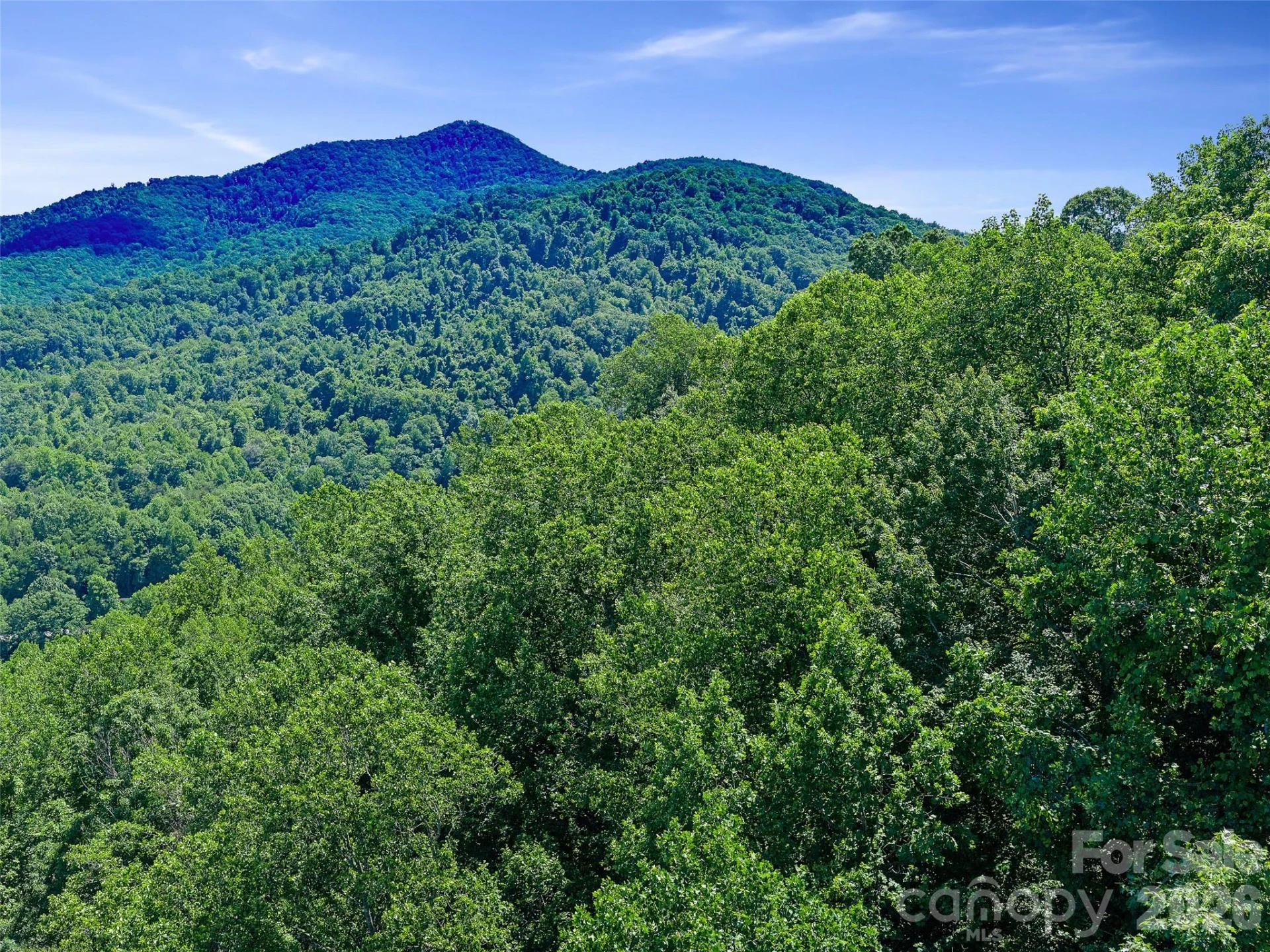 9999 Lovebird Lane #23 - Photo 29
