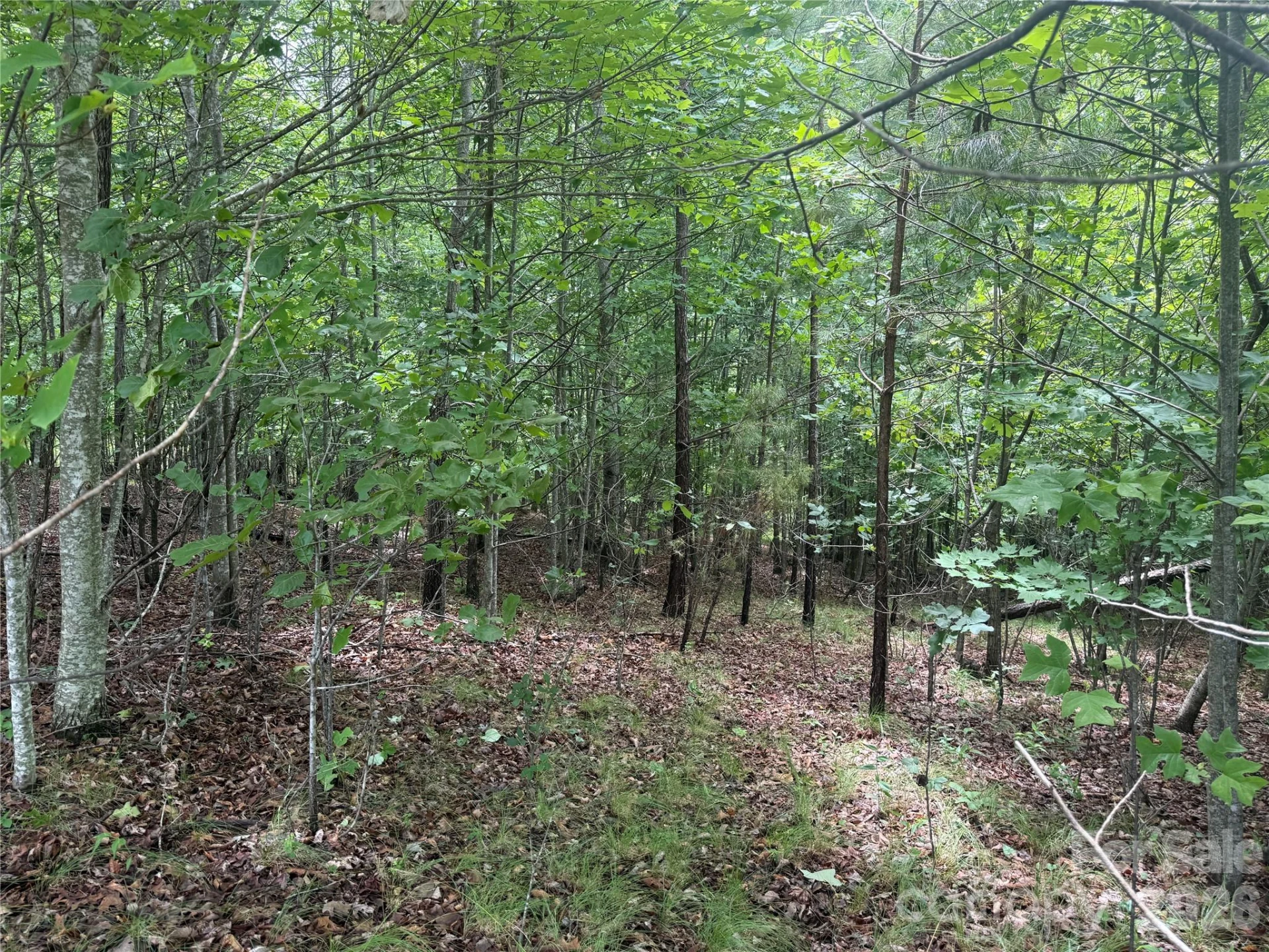 V/L Scenic Vista Drive #246 - Photo 11