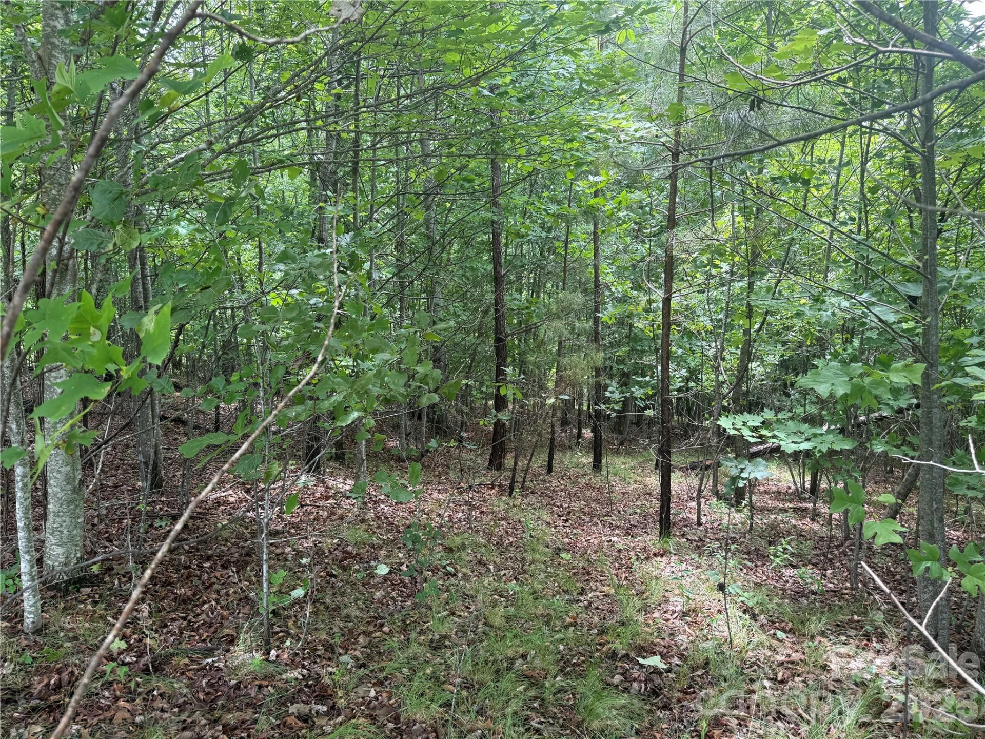 V/L Scenic Vista Drive #246 - Photo 12