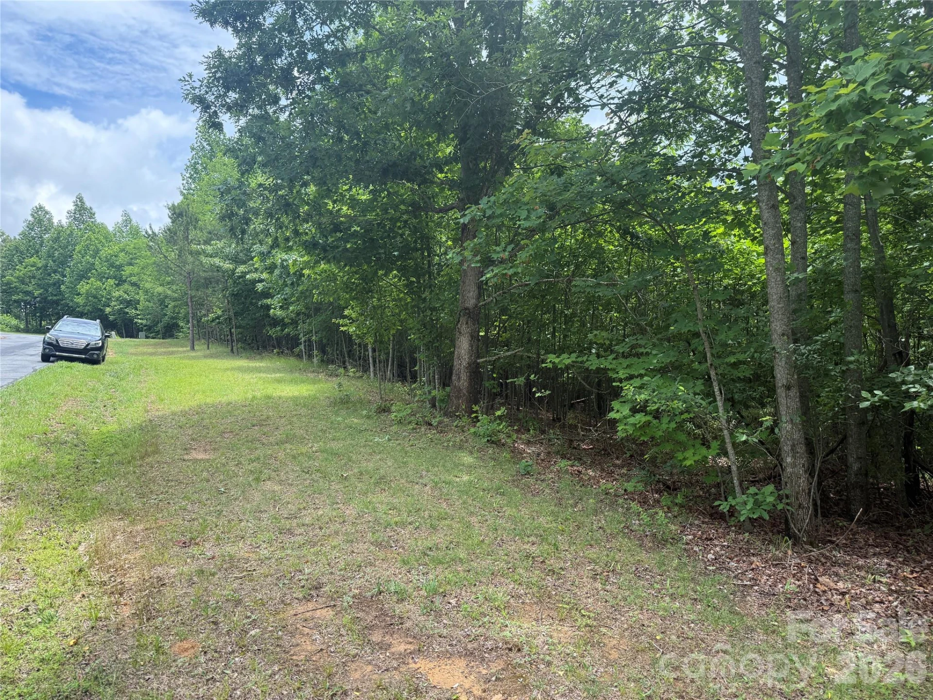 V/L Scenic Vista Drive #246 - Photo 14