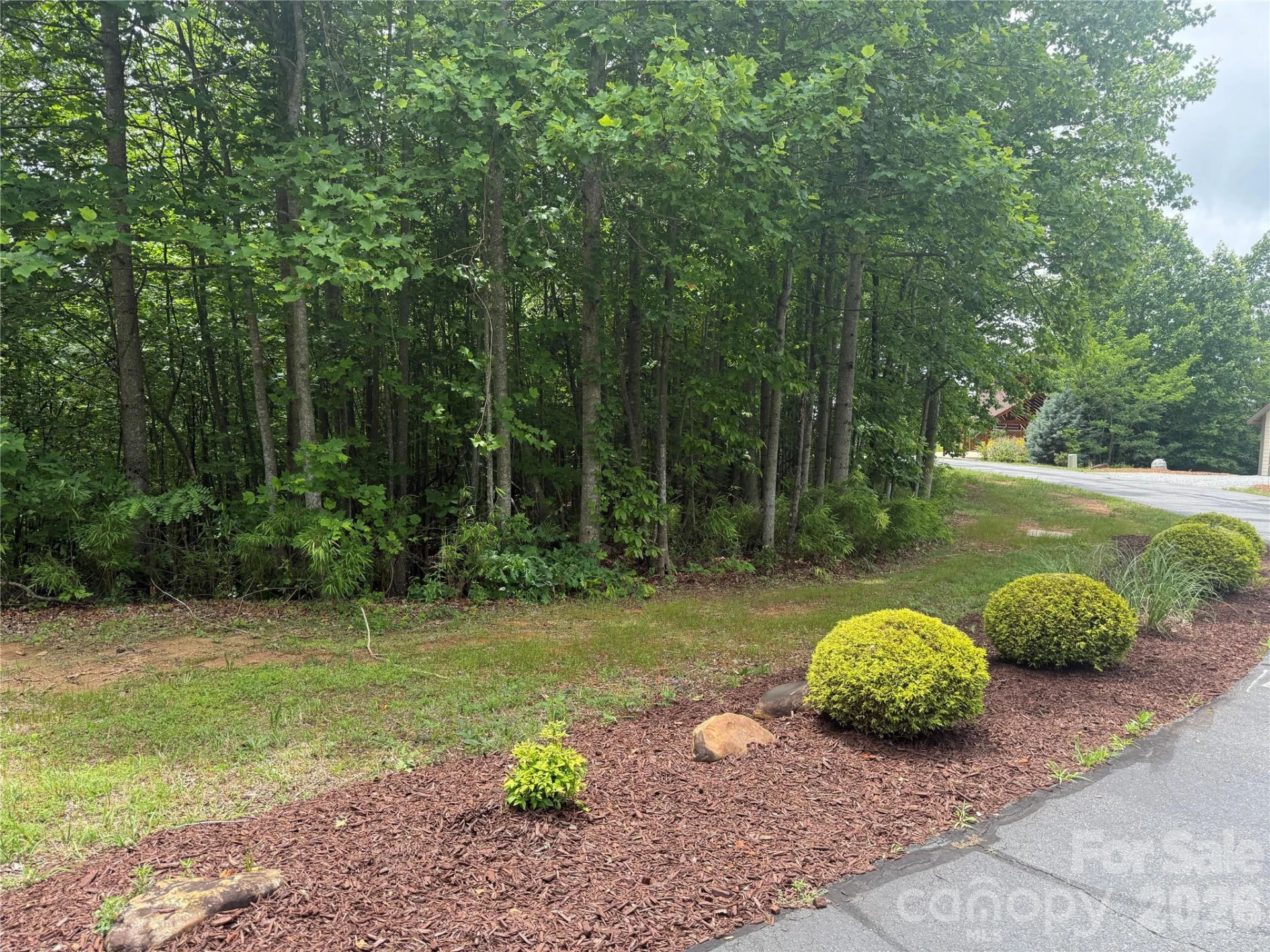 V/L Scenic Vista Drive #246 - Photo 15