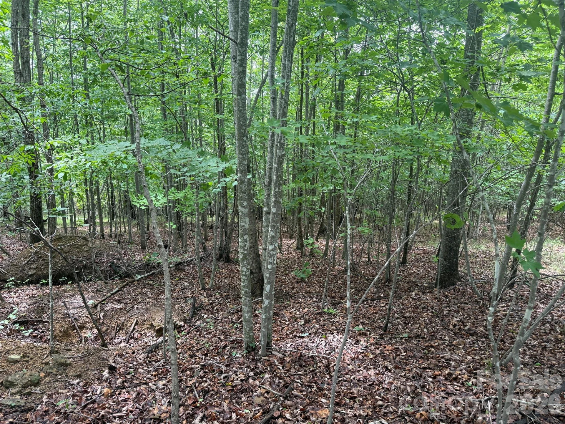 V/L Scenic Vista Drive #246 - Photo 4