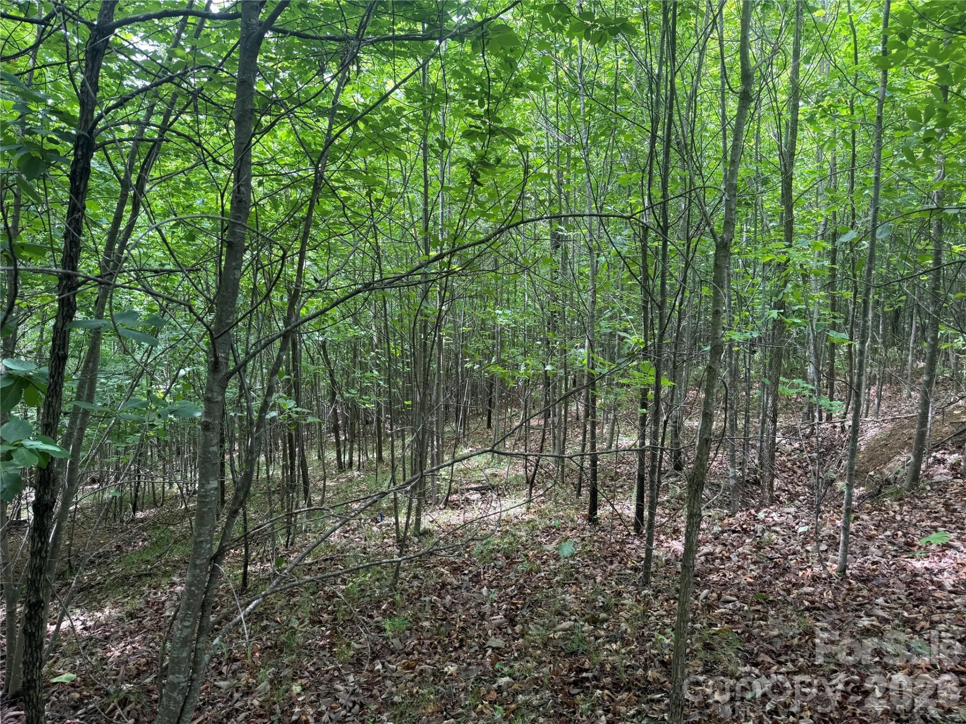 V/L Scenic Vista Drive #246 - Photo 8