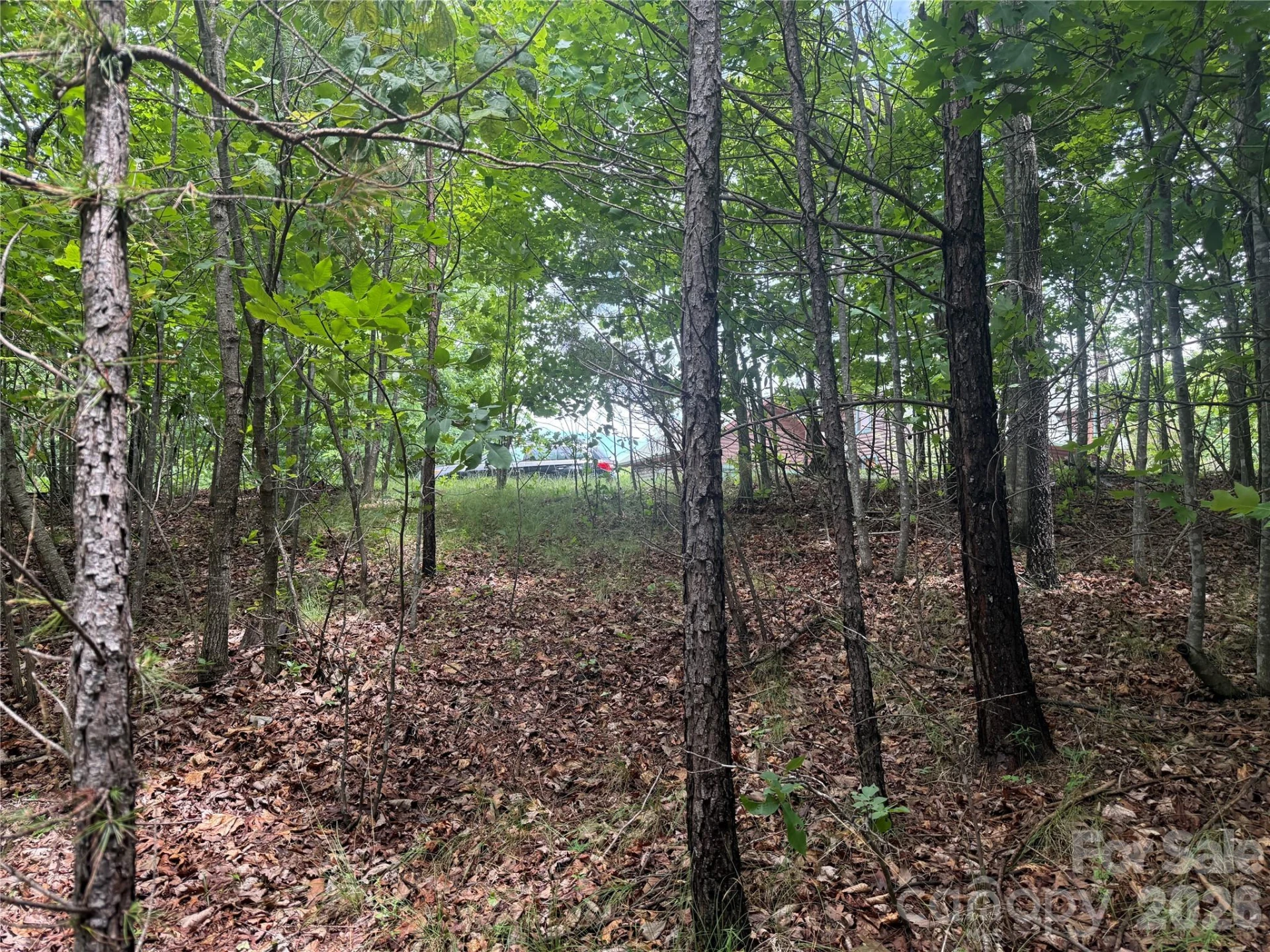 V/L Scenic Vista Drive #246 - Photo 10