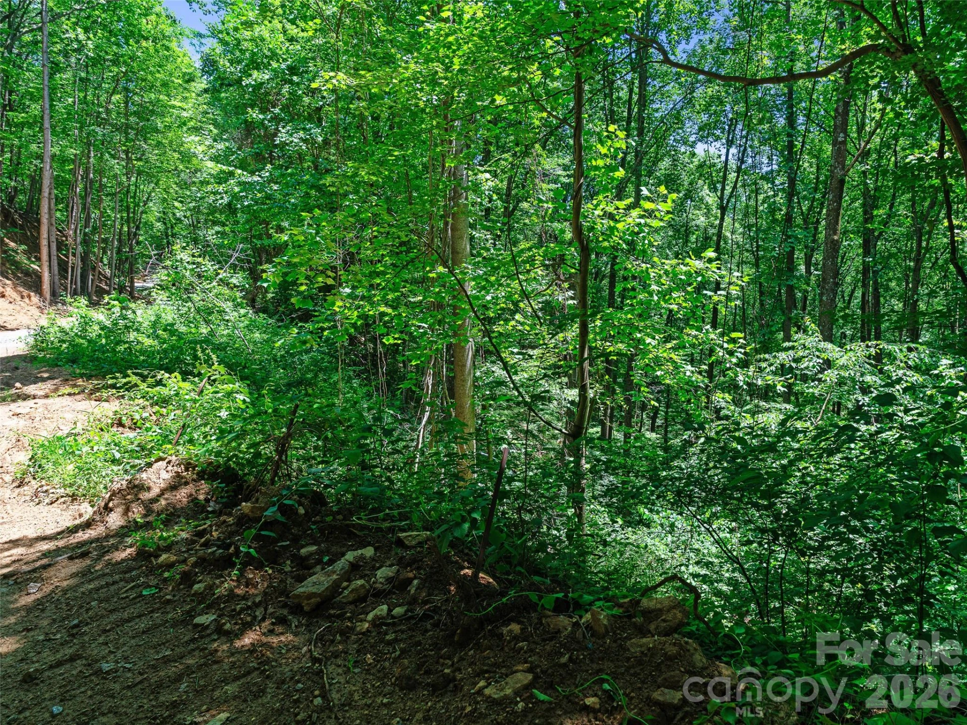 9999 Lovebird Lane #19 - Photo 12