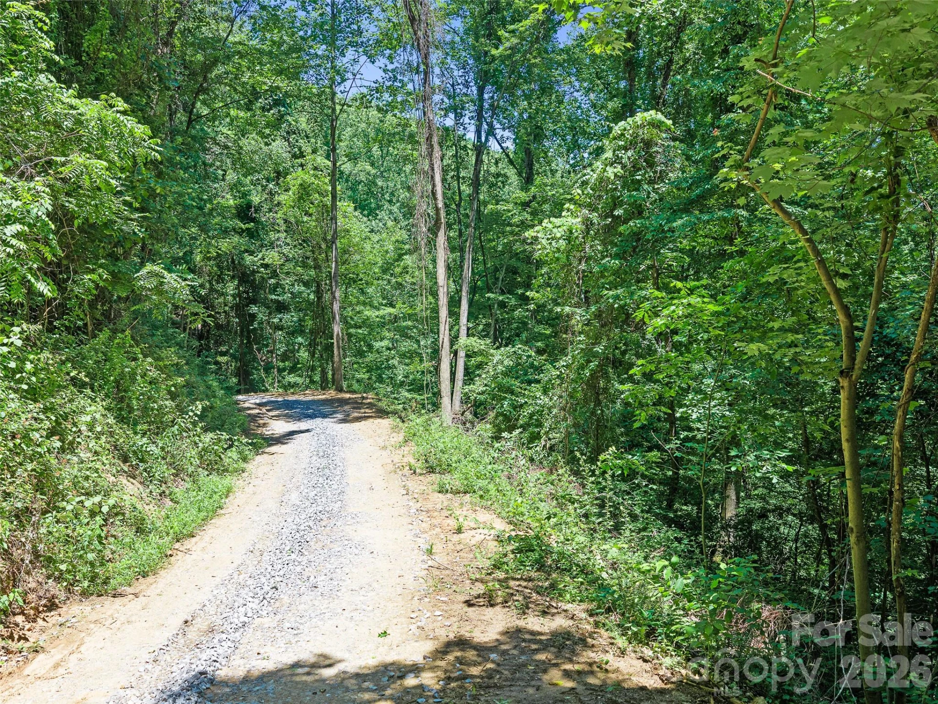 9999 Lovebird Lane #19 - Photo 15