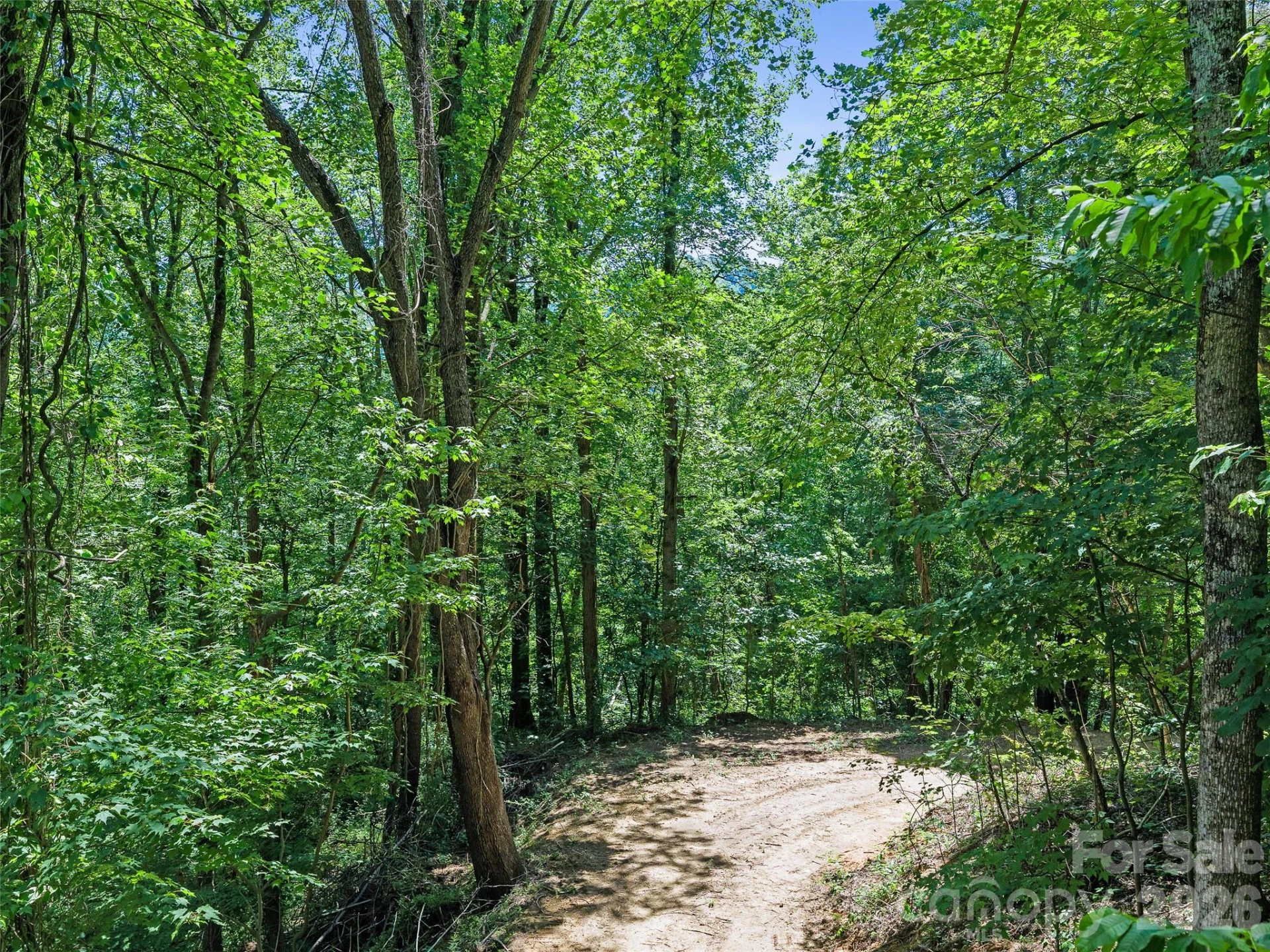 9999 Lovebird Lane #19 - Photo 3