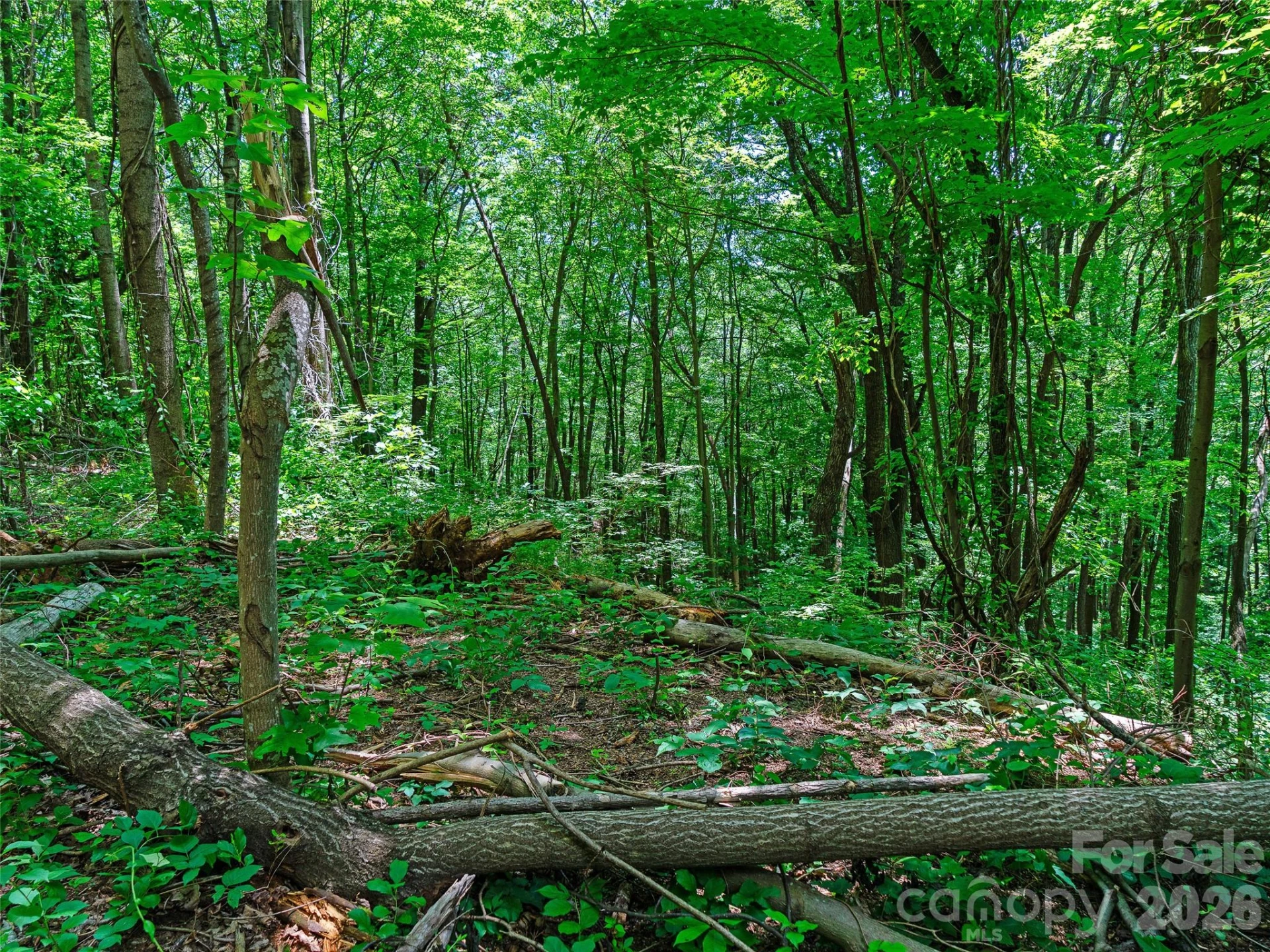 9999 Lovebird Lane #19 - Photo 4
