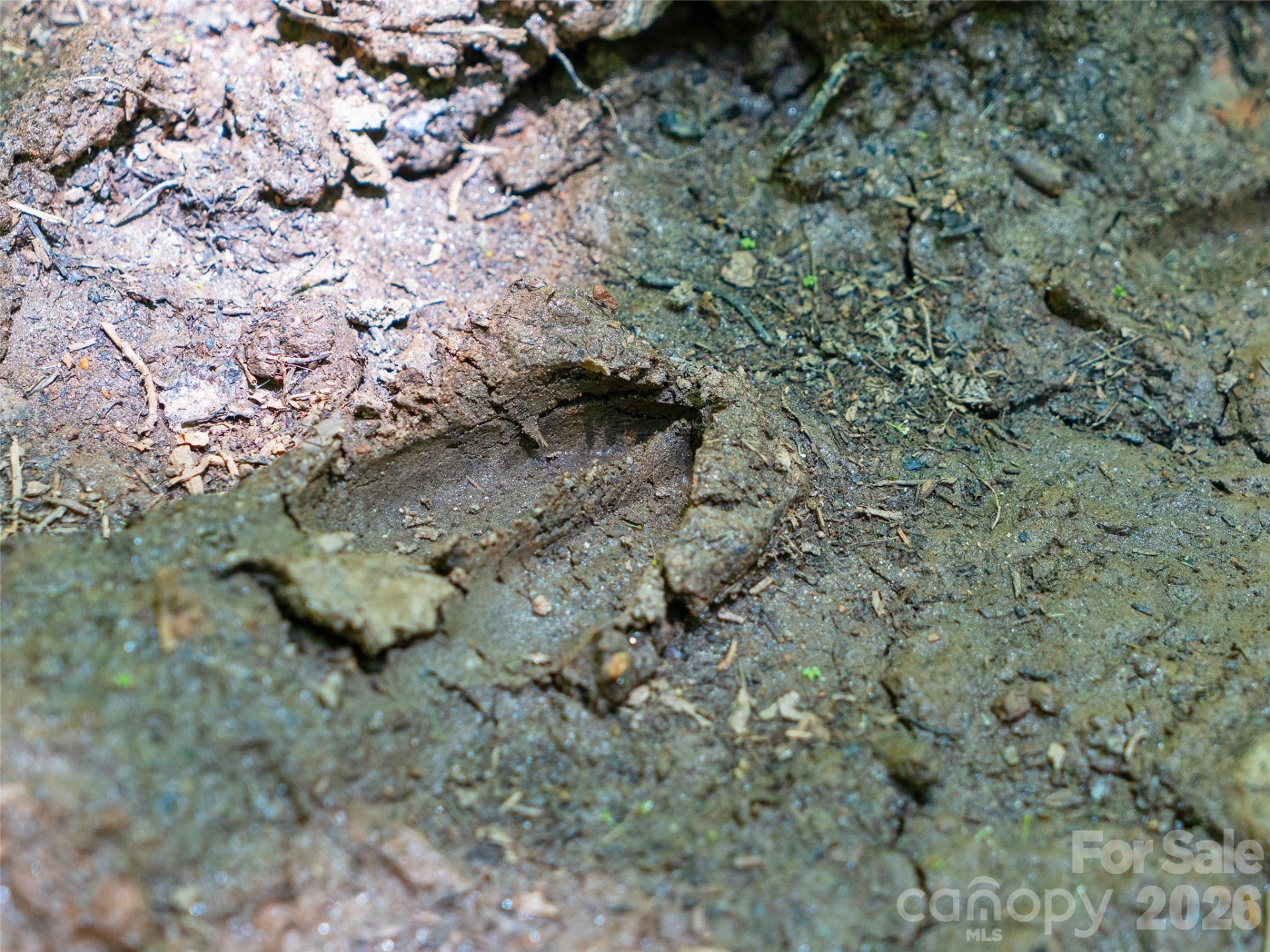 9999 Lovebird Lane #17 - Photo 10