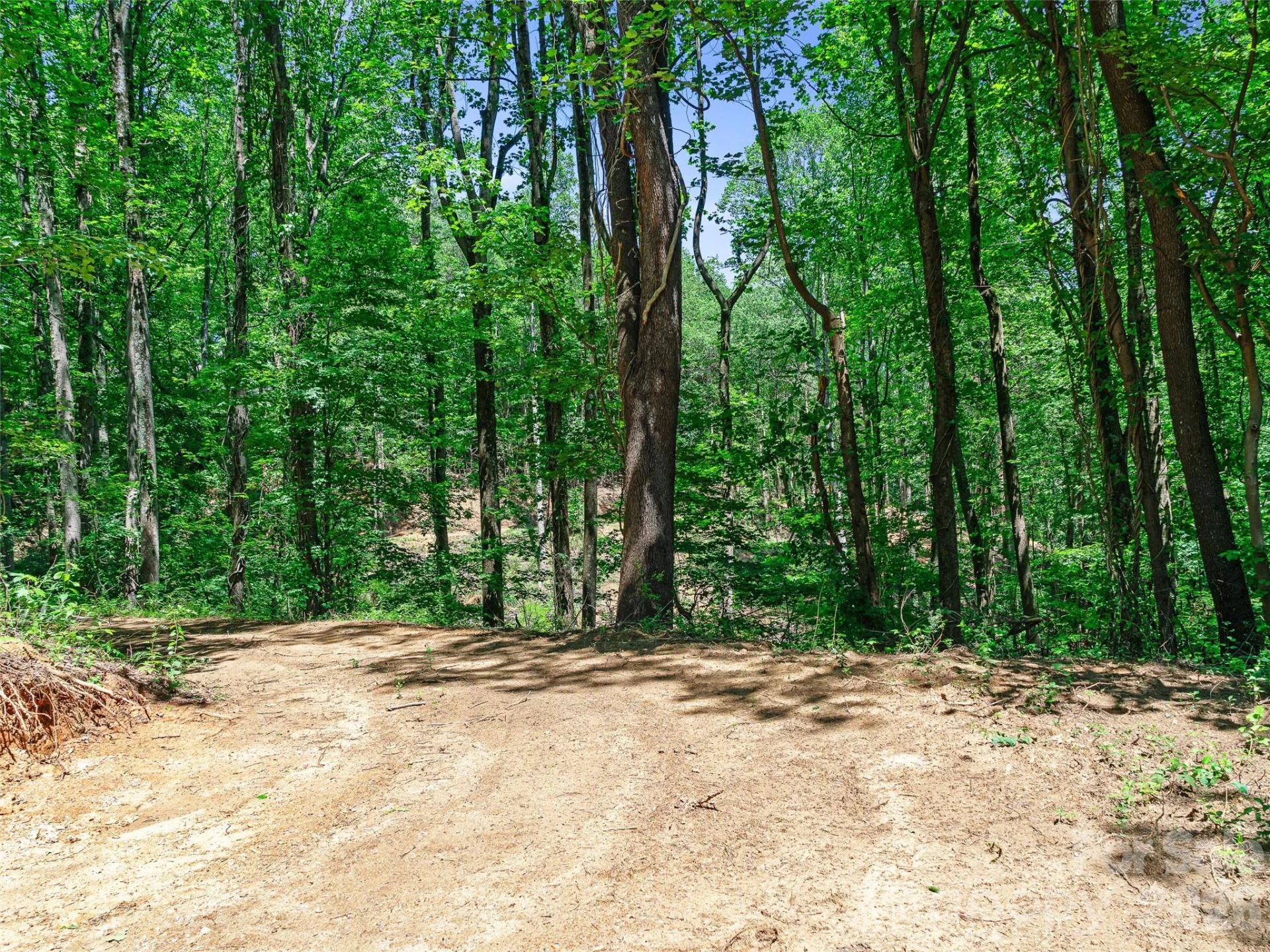 9999 Lovebird Lane #17 - Photo 3