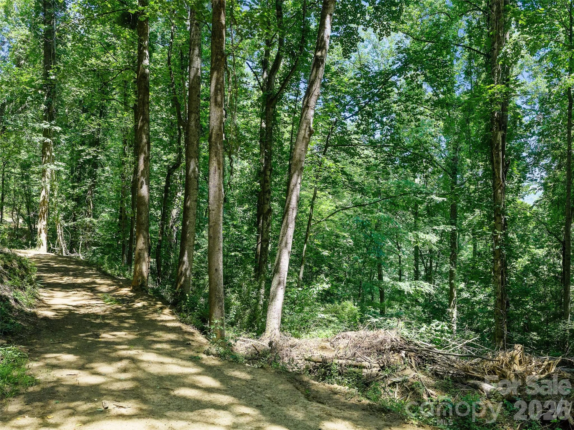 9999 Lovebird Lane #17 - Photo 21