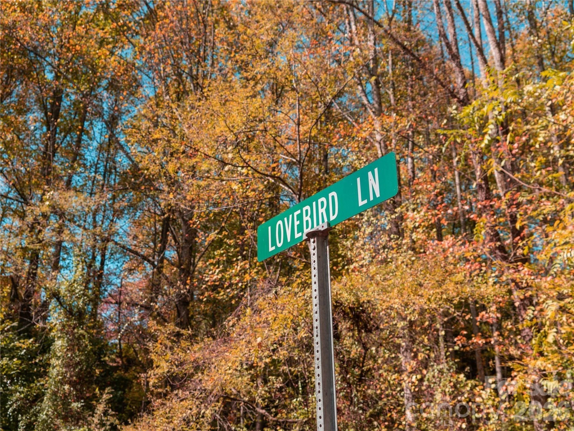 9999 Lovebird Lane #17 - Photo 29