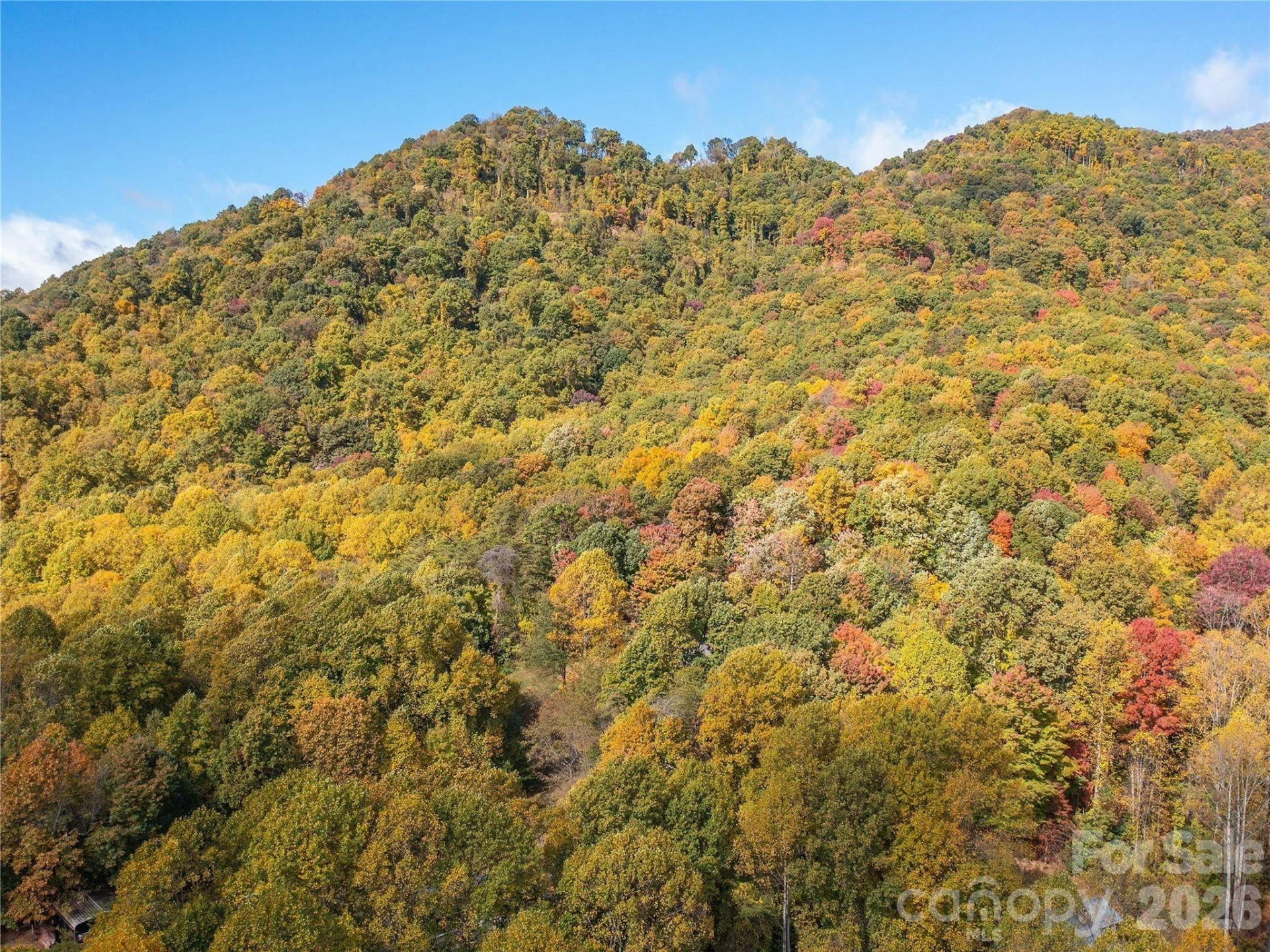 9999 Lovebird Lane #17 - Photo 30
