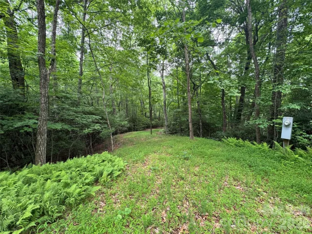 000 Chestnut Oak Lane, Pisgah Forest, NC, 28768