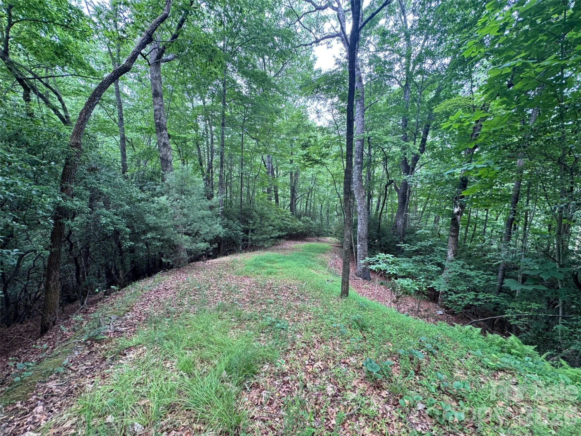 000 Chestnut Oak Lane - Photo 2