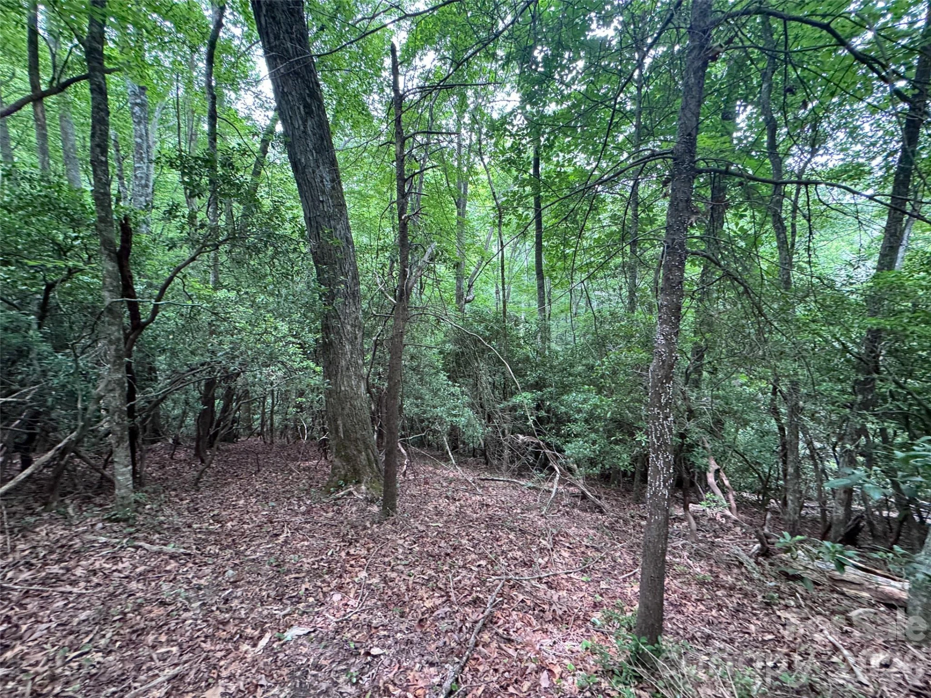 000 Chestnut Oak Lane - Photo 15