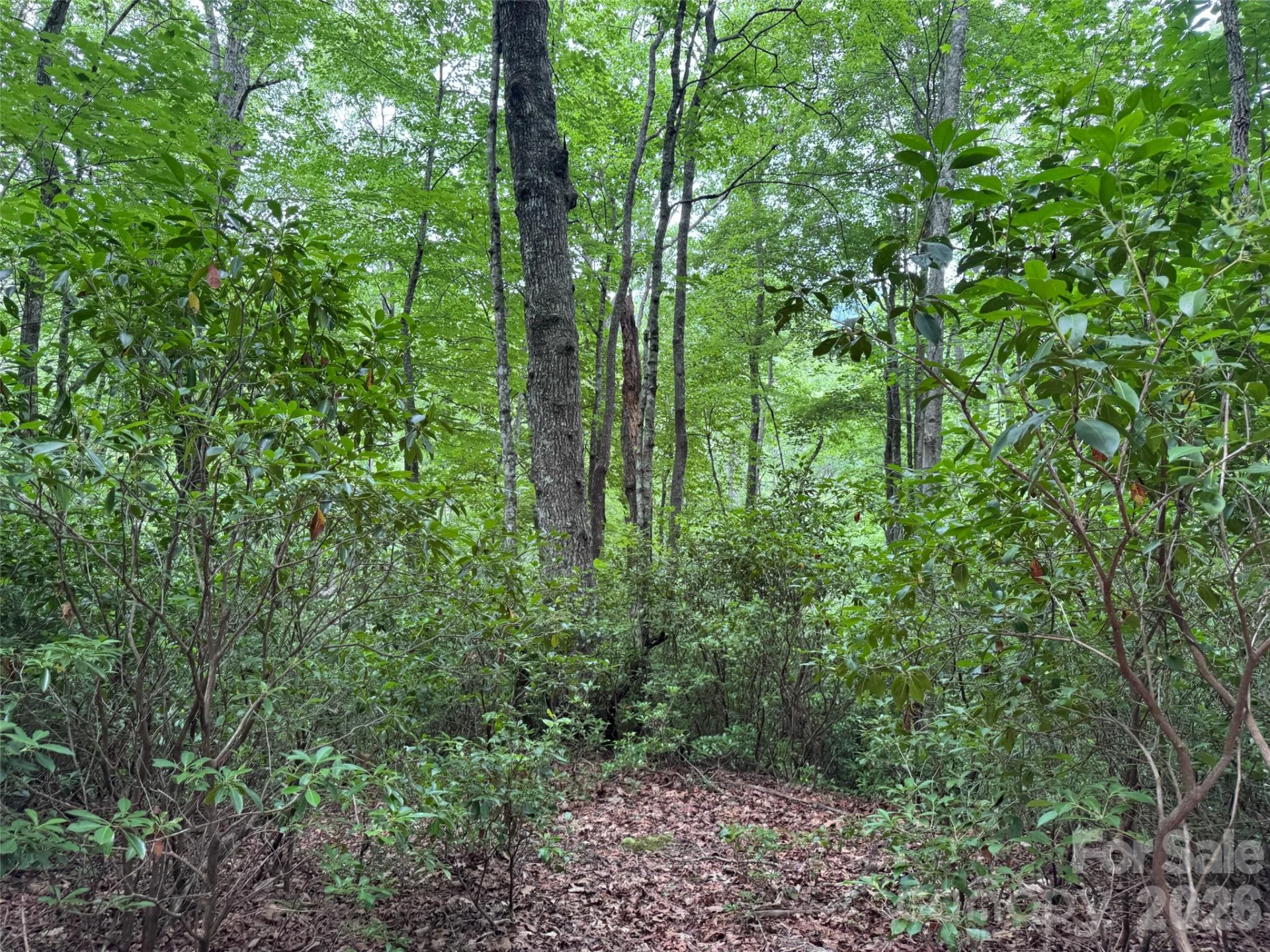000 Chestnut Oak Lane - Photo 16