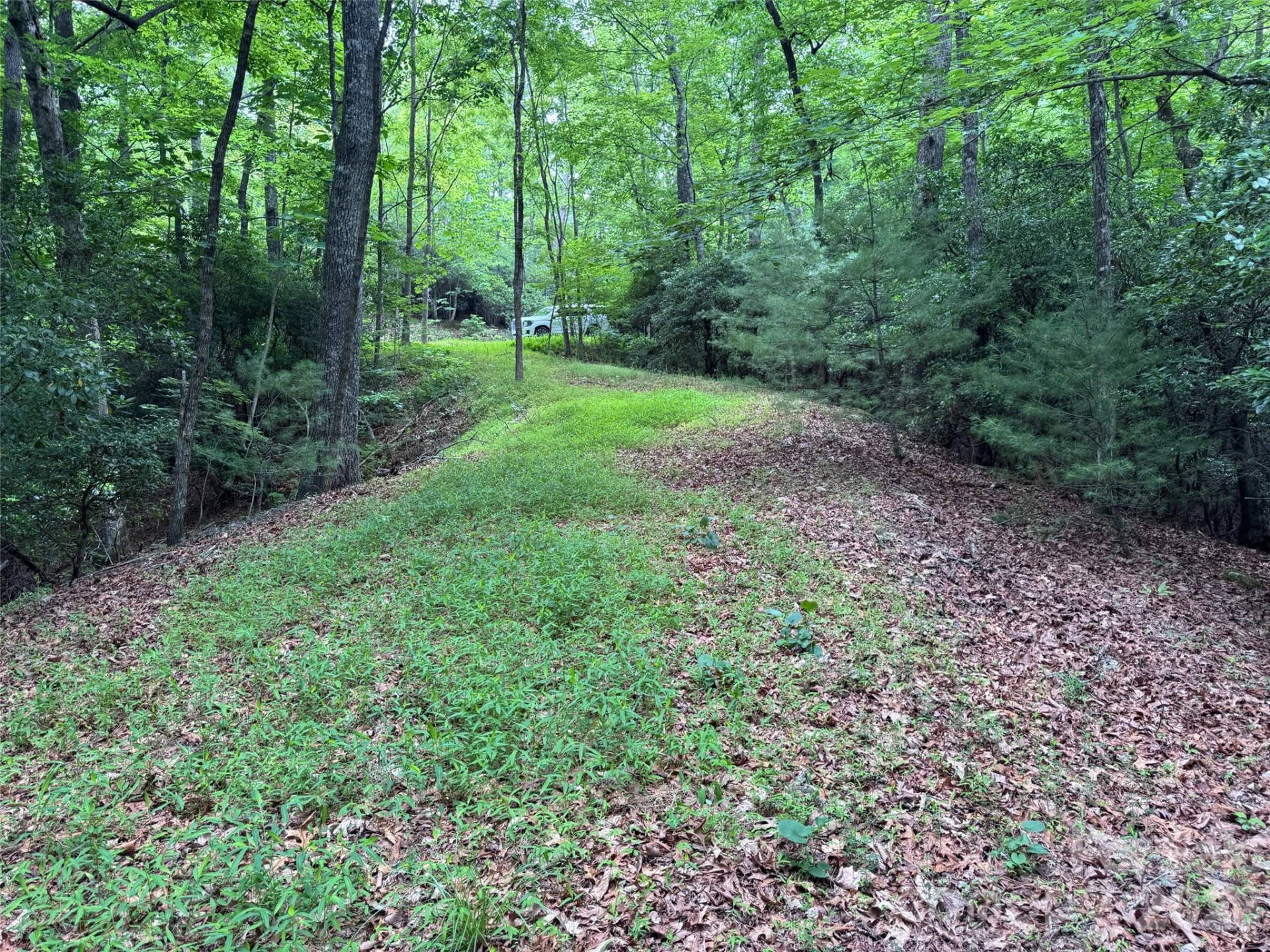 000 Chestnut Oak Lane - Photo 17