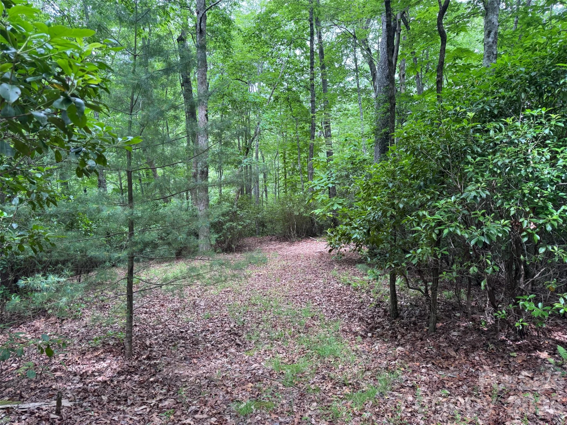 000 Chestnut Oak Lane - Photo 18