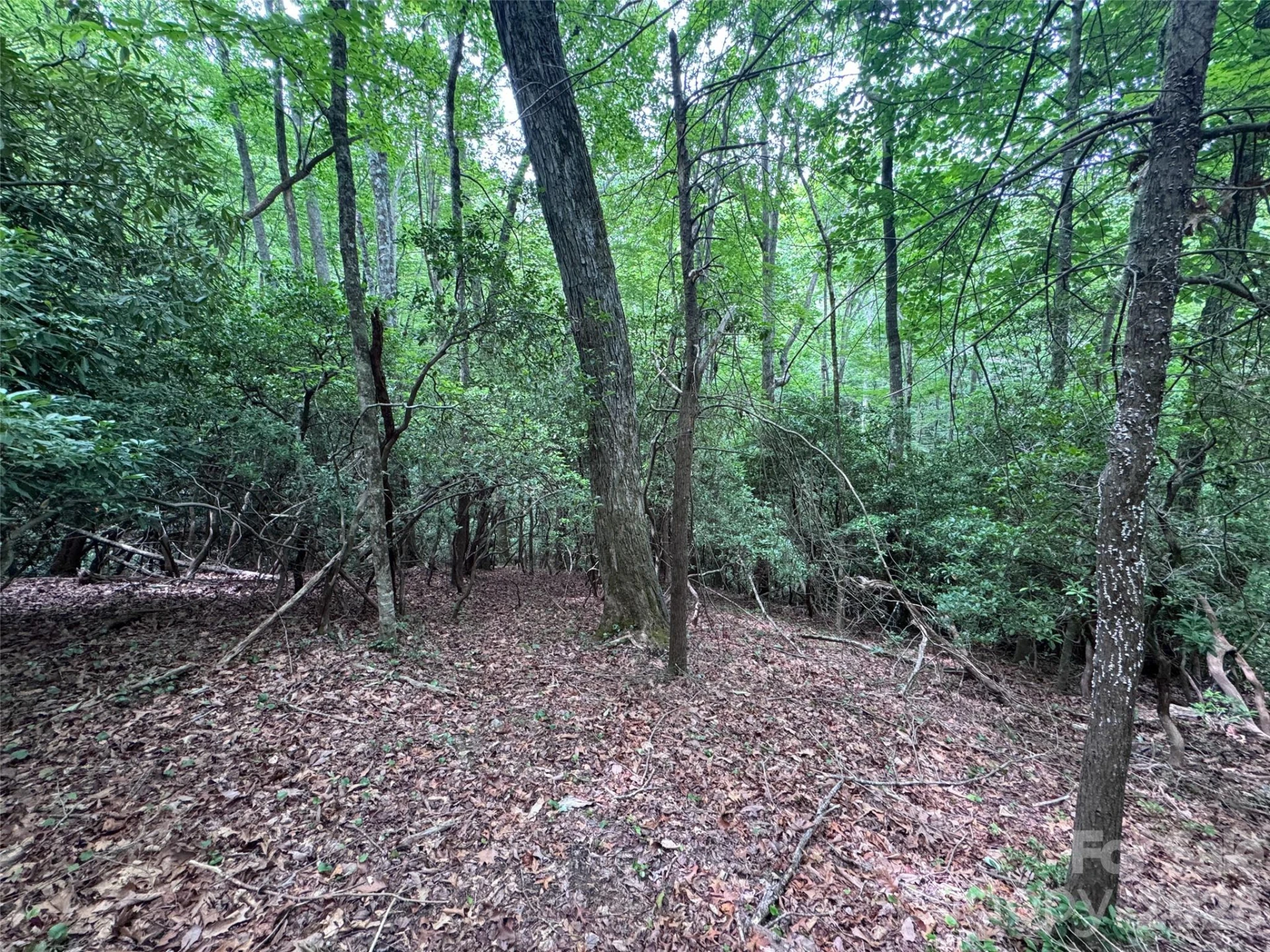 000 Chestnut Oak Lane - Photo 19