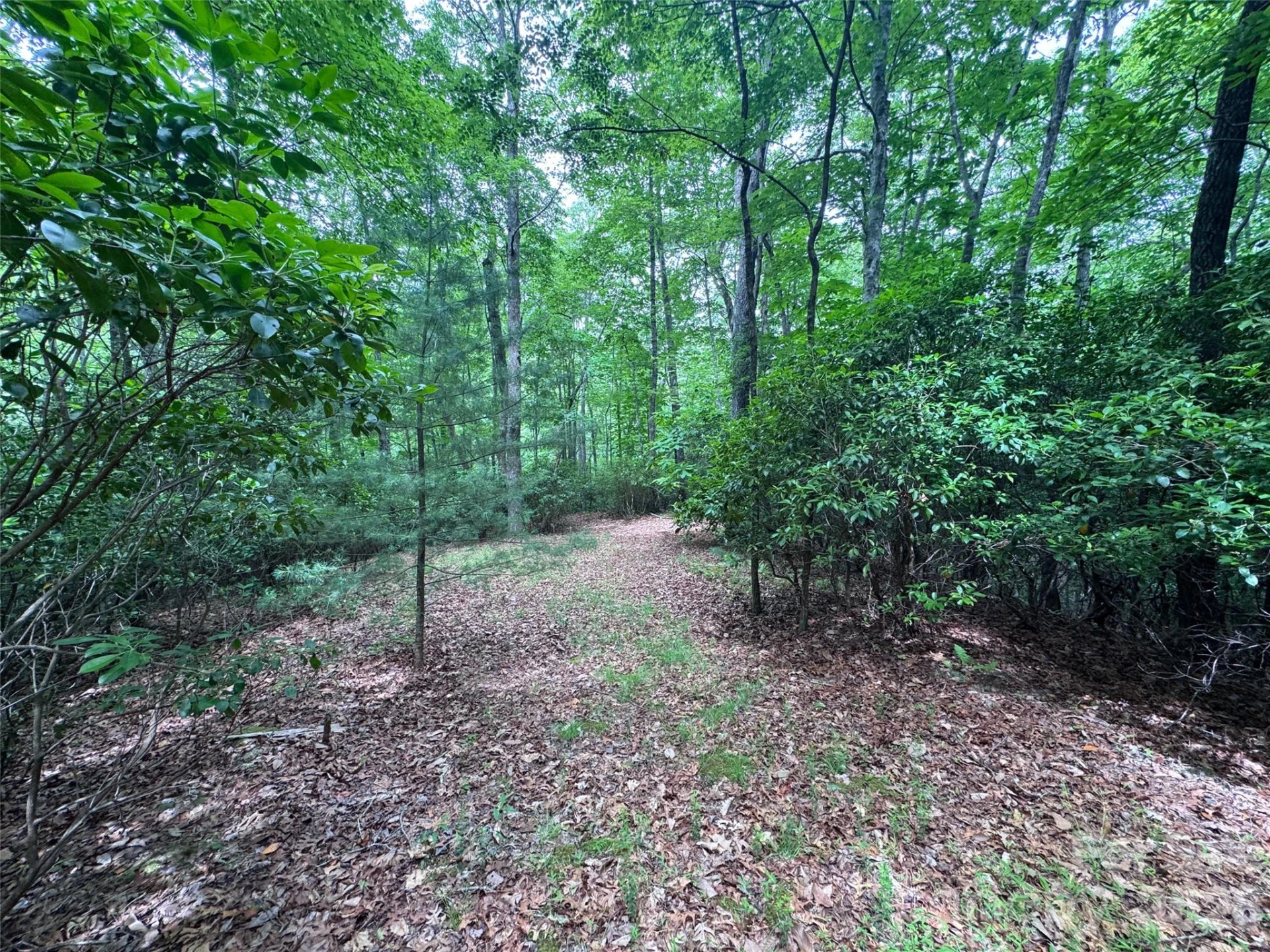 000 Chestnut Oak Lane - Photo 20