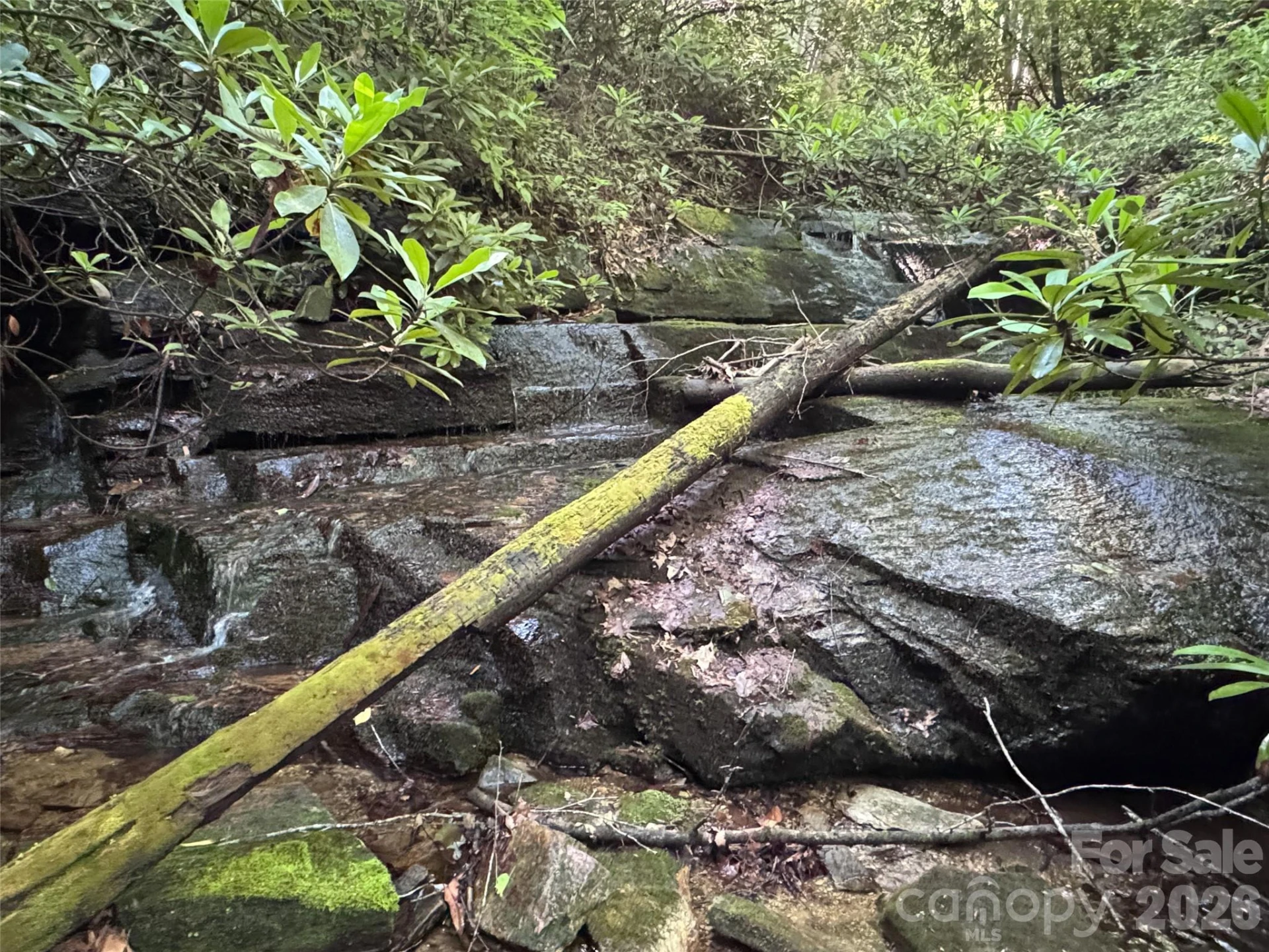 000 Chestnut Oak Lane - Photo 3