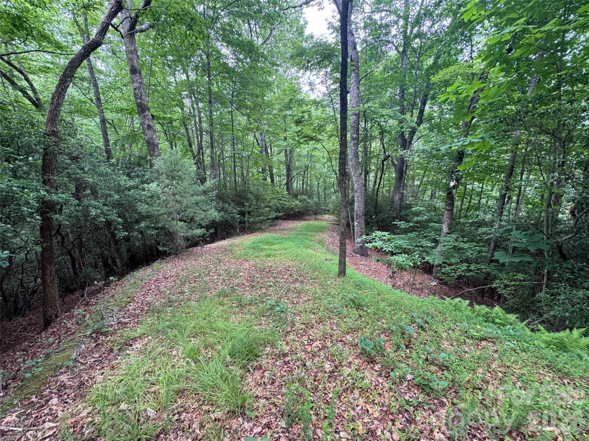 000 Chestnut Oak Lane - Photo 21