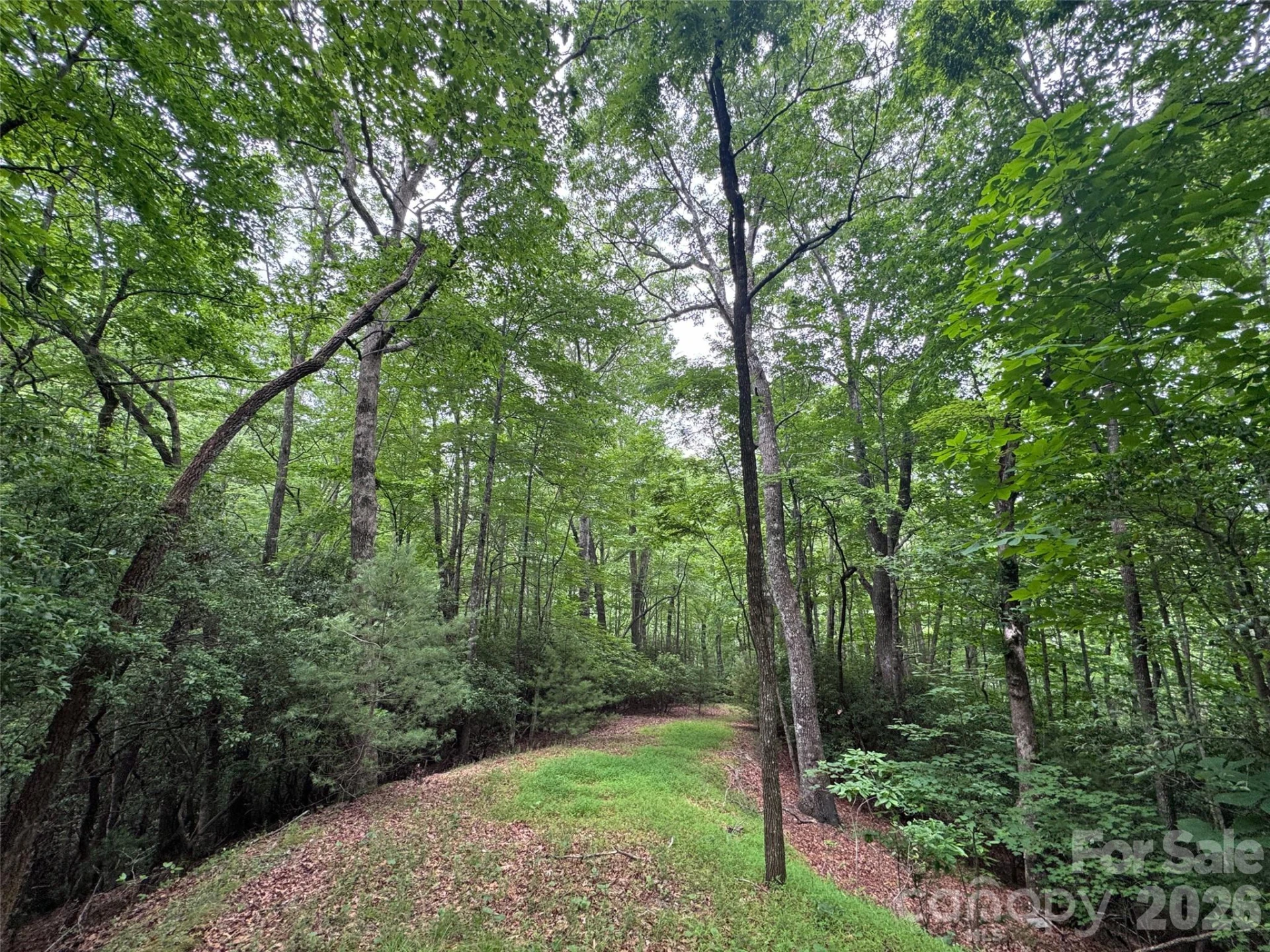 000 Chestnut Oak Lane - Photo 22