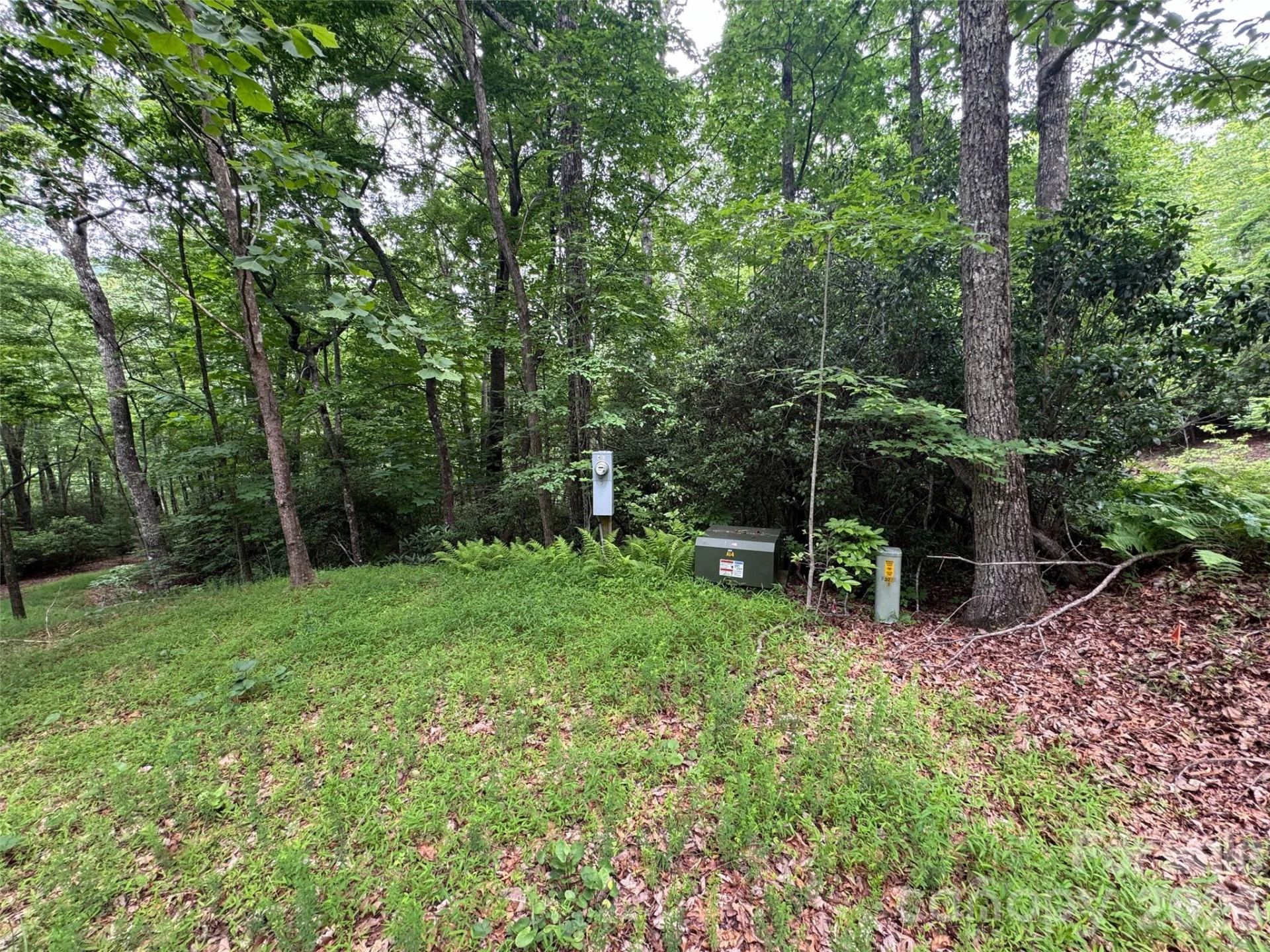 000 Chestnut Oak Lane - Photo 23