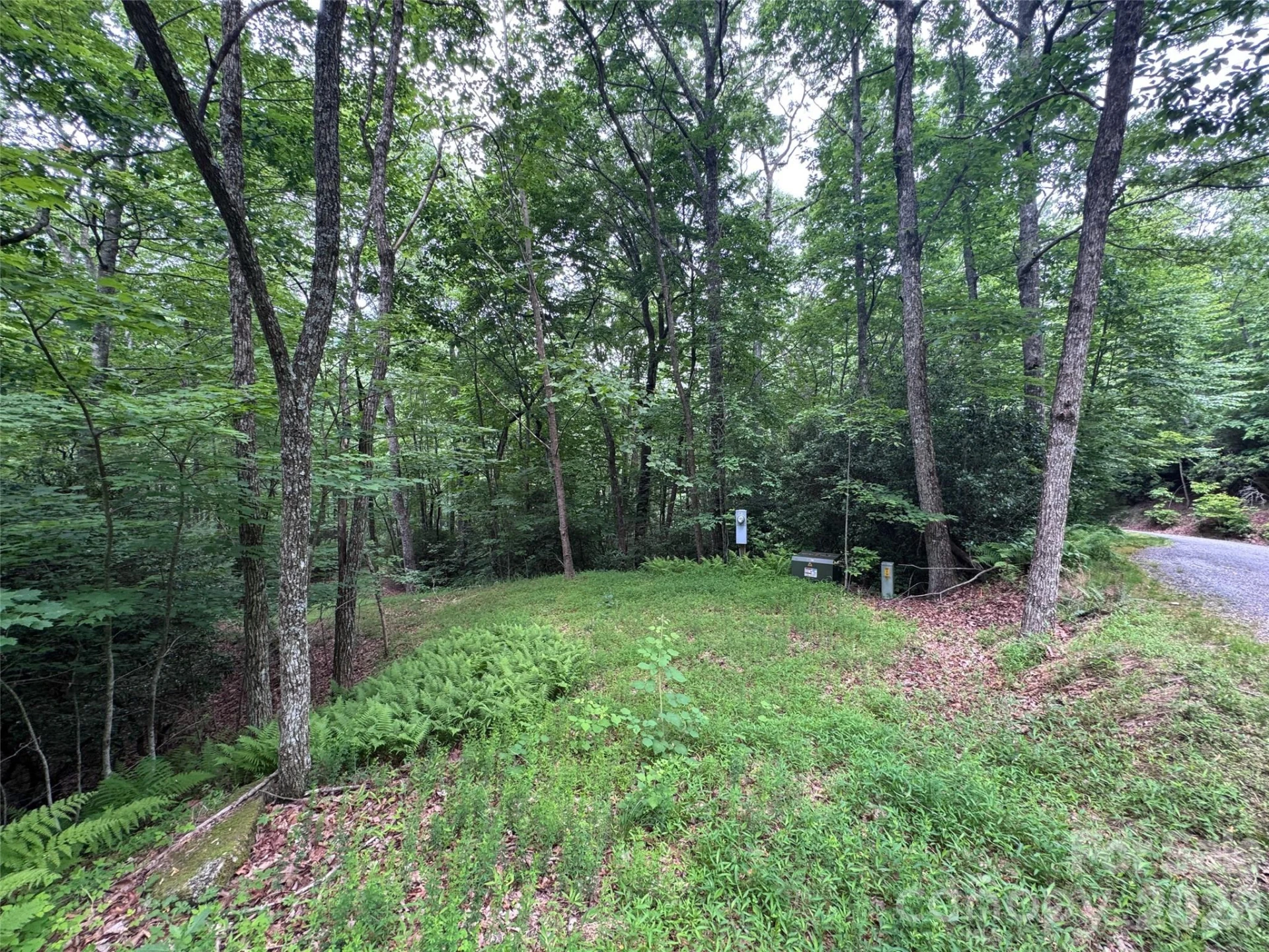 000 Chestnut Oak Lane - Photo 24