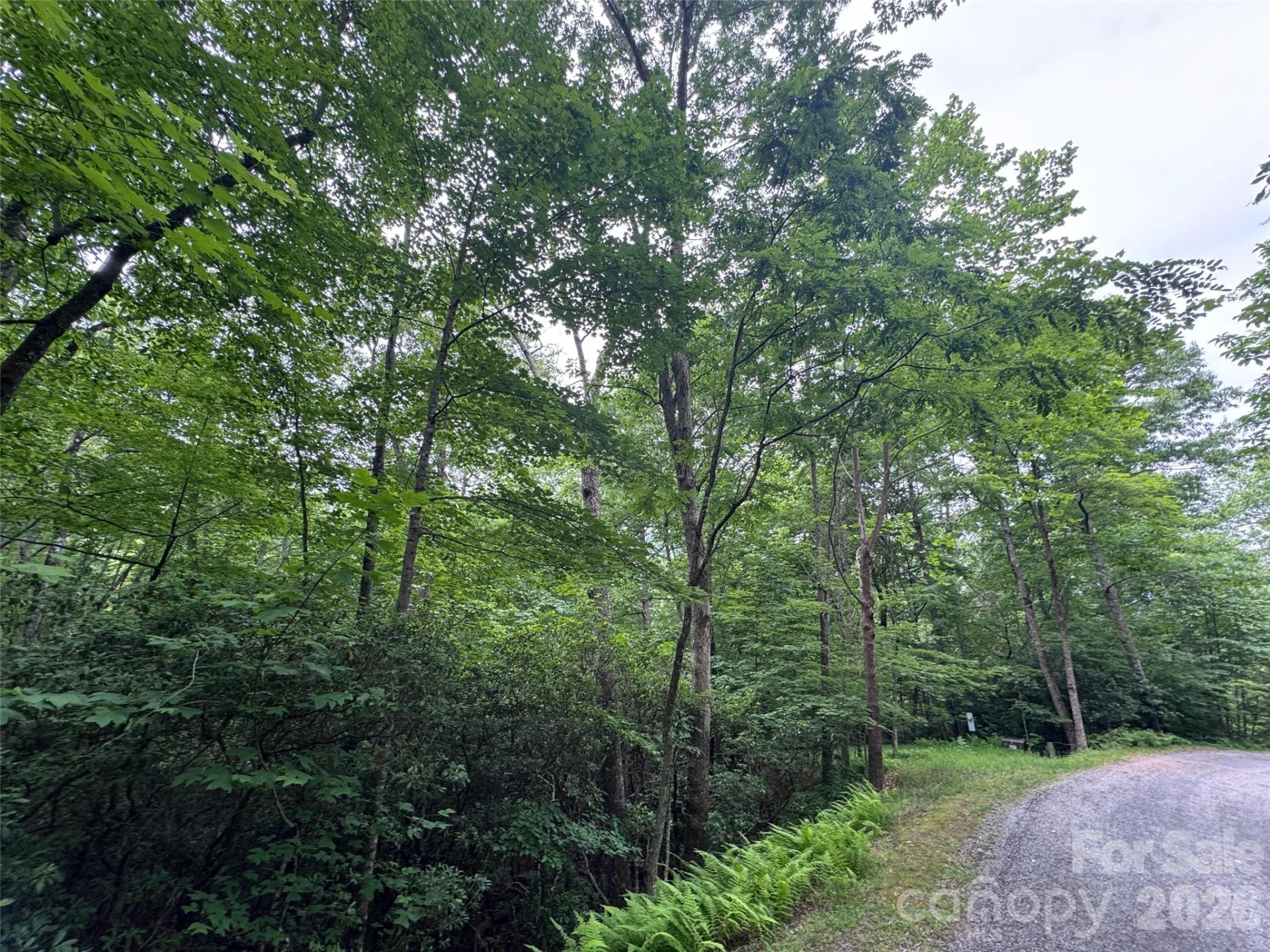 000 Chestnut Oak Lane - Photo 25