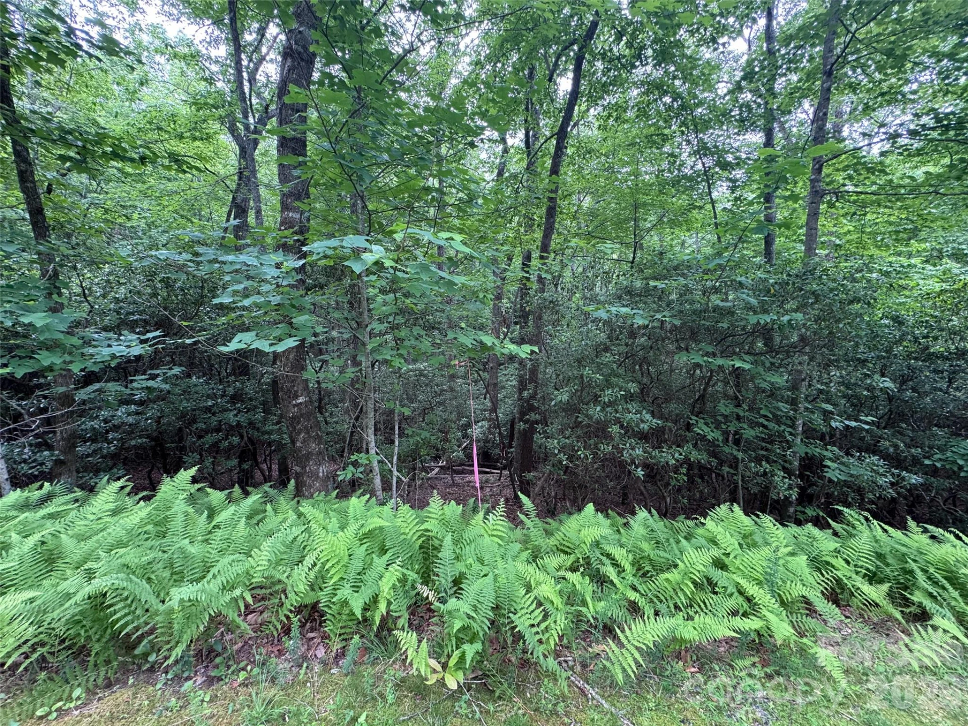 000 Chestnut Oak Lane - Photo 26