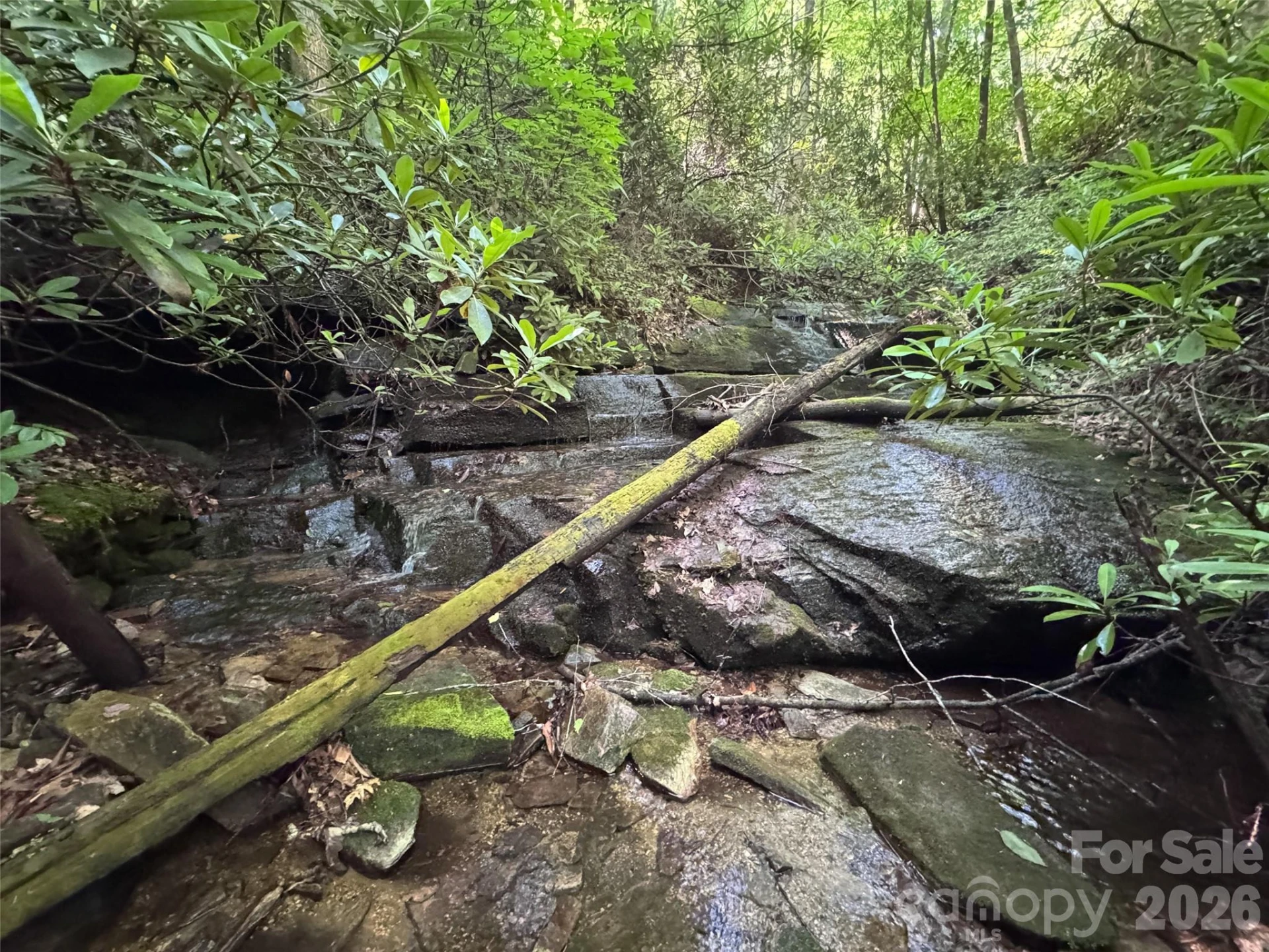 000 Chestnut Oak Lane - Photo 10