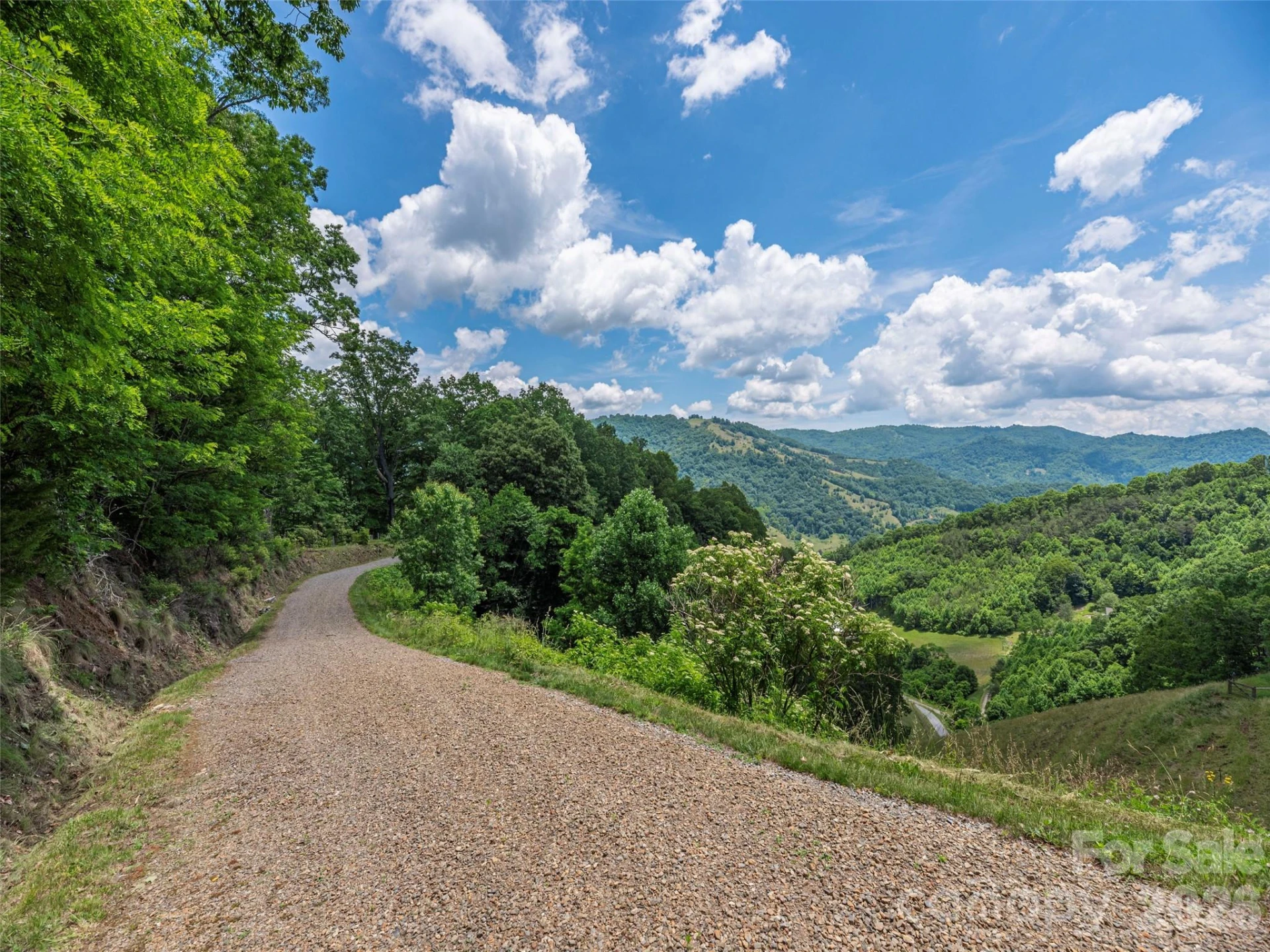 1200 Clark Road - Photo 23
