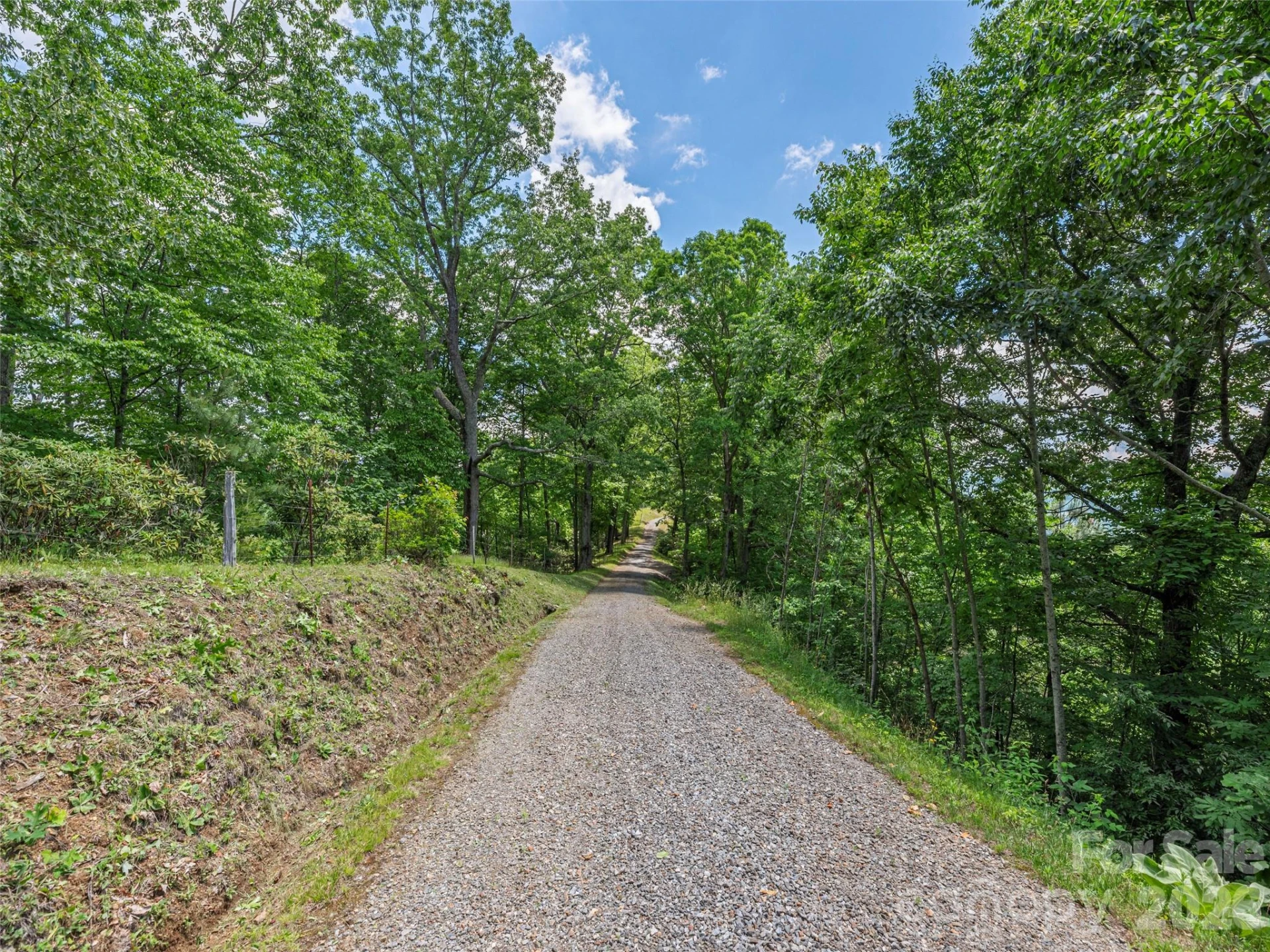 1200 Clark Road - Photo 24
