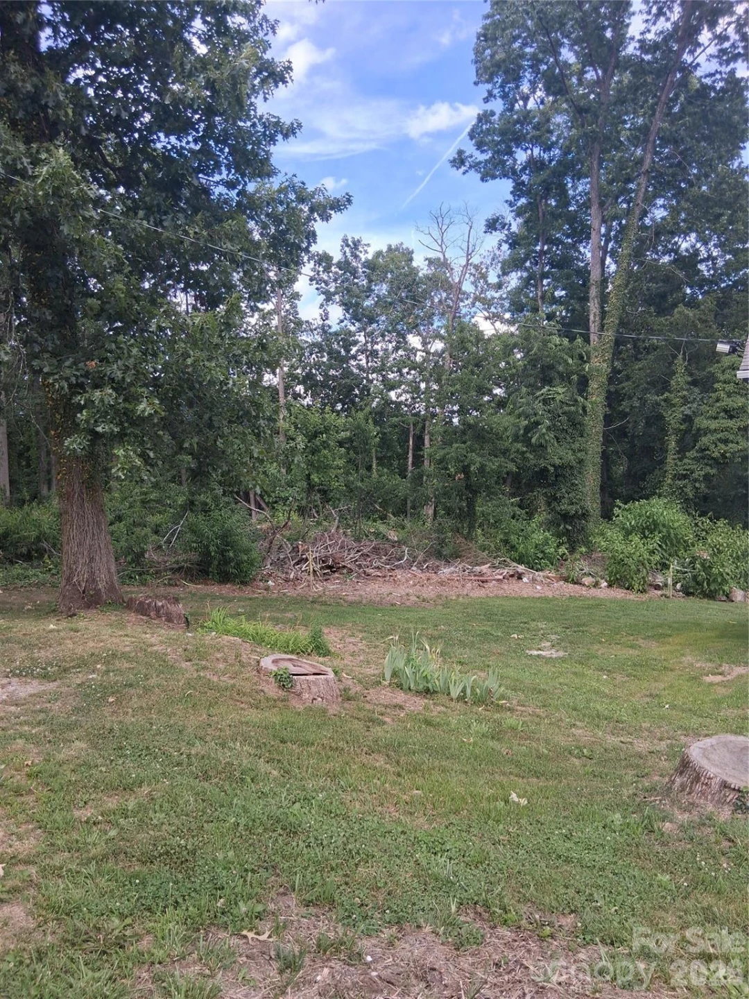 25 Oak Hill Drive #1 - Photo 2