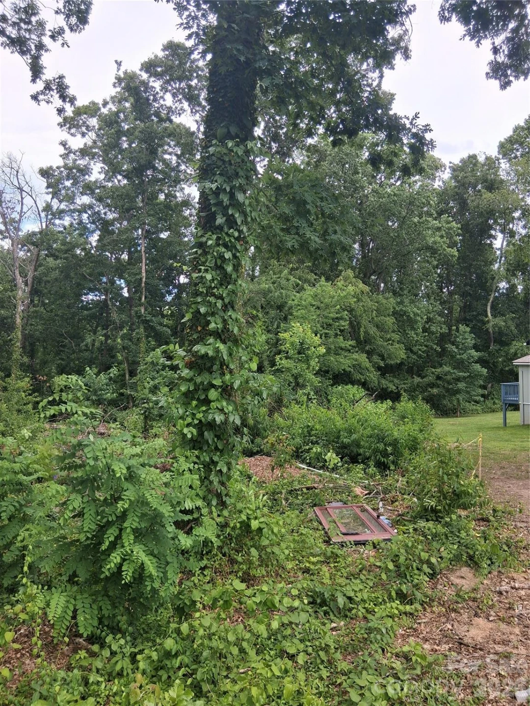 25 Oak Hill Drive #1 - Photo 23