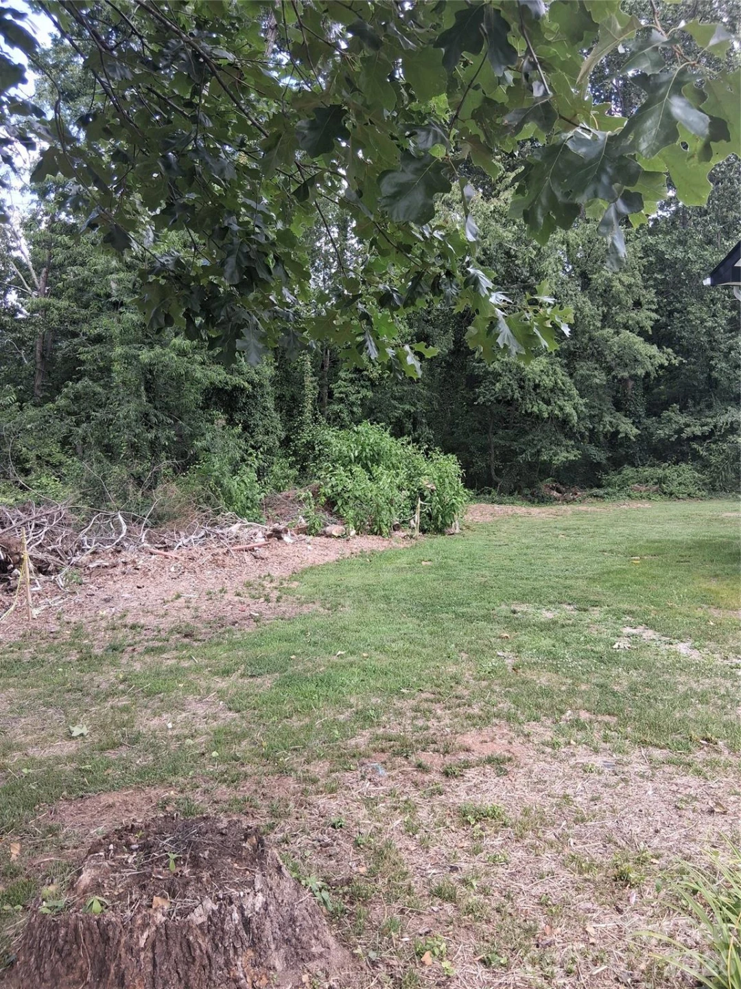 25 Oak Hill Drive #1 - Photo 5