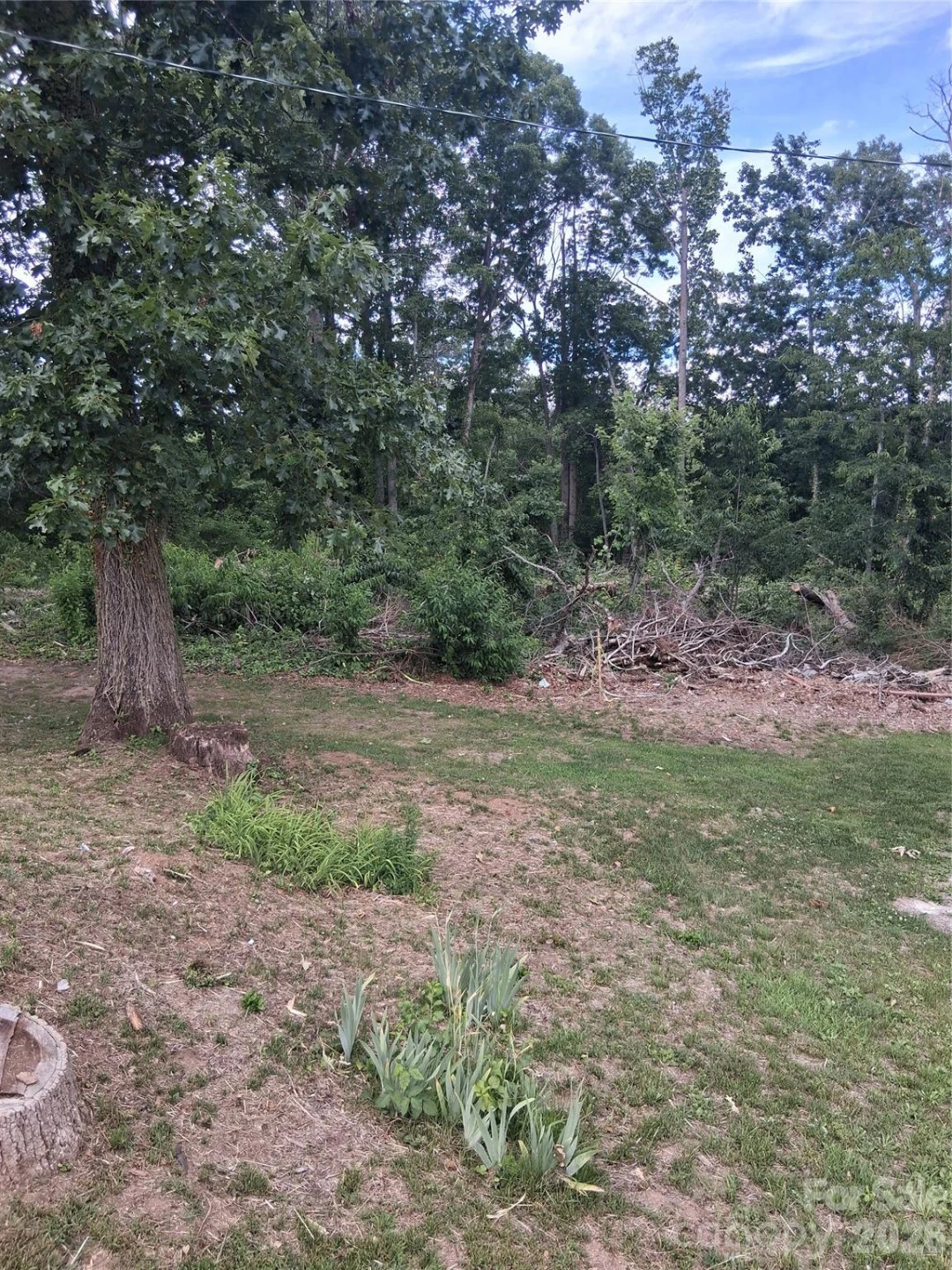 25 Oak Hill Drive #1 - Photo 8