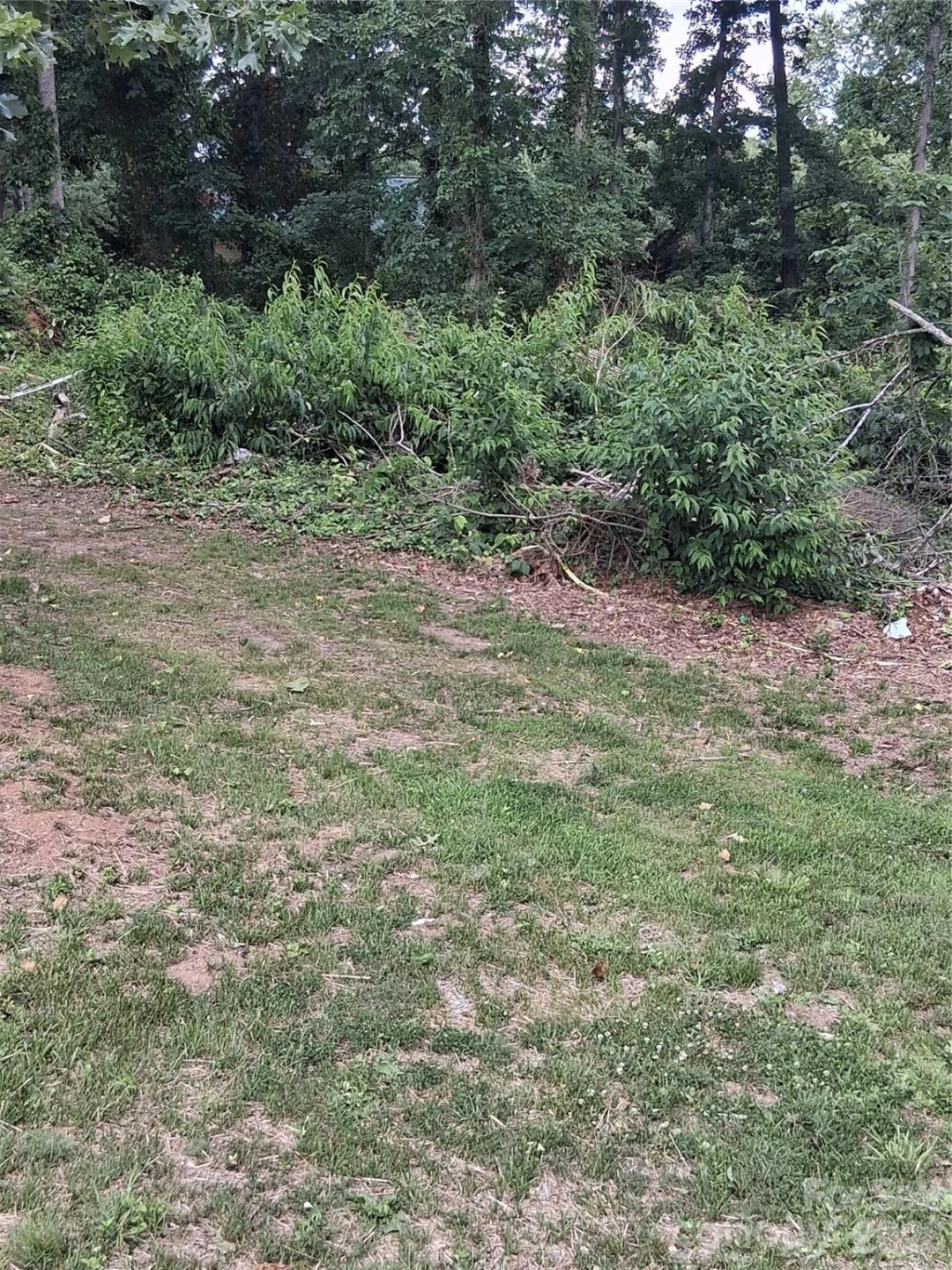 25 Oak Hill Drive #1 - Photo 13