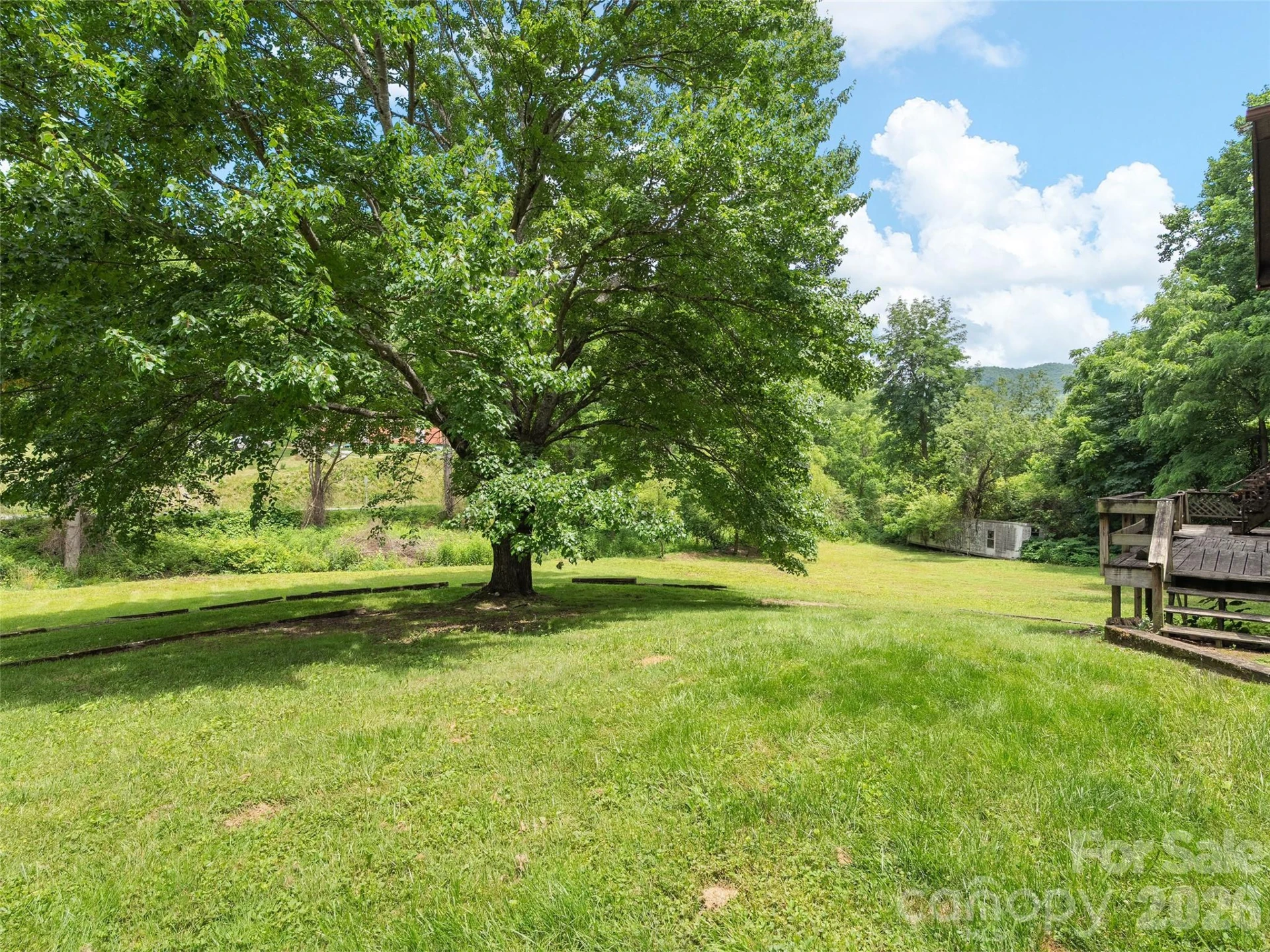 277 Orion Davis Road - Photo 4