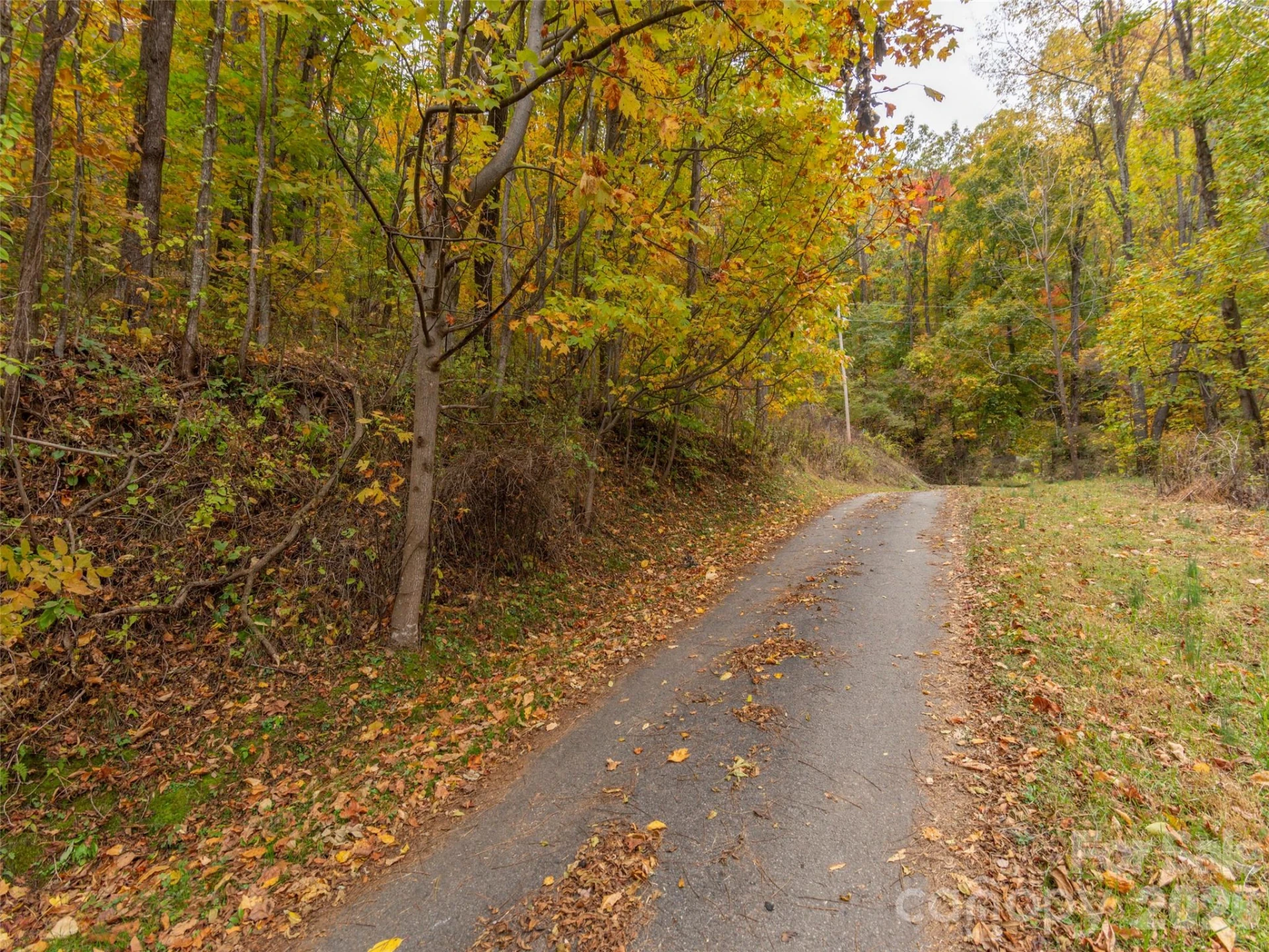 000 Sleepy Hollow Lane #13 & 14 - Photo 2